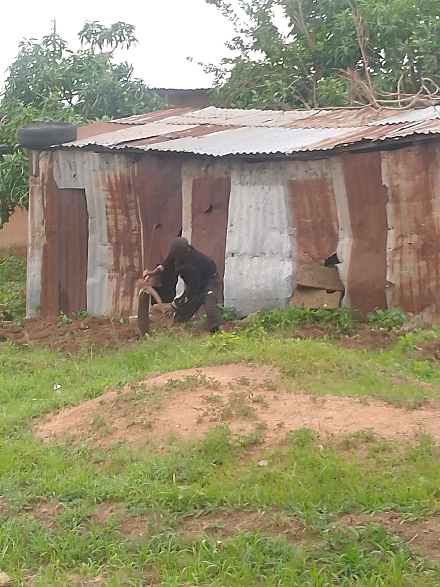 The scene is set in Barikin Gidar Kanat, Nigeria, showing a corrugated metal shack in a rural setting. The shack has a rusted roof with a tire on top. In front of the shack, a person is working in a dirt plot with a hand plow or similar tool. The ground is mostly dirt with patches of grass, and there are trees in the background. The image appears to be taken during the day.