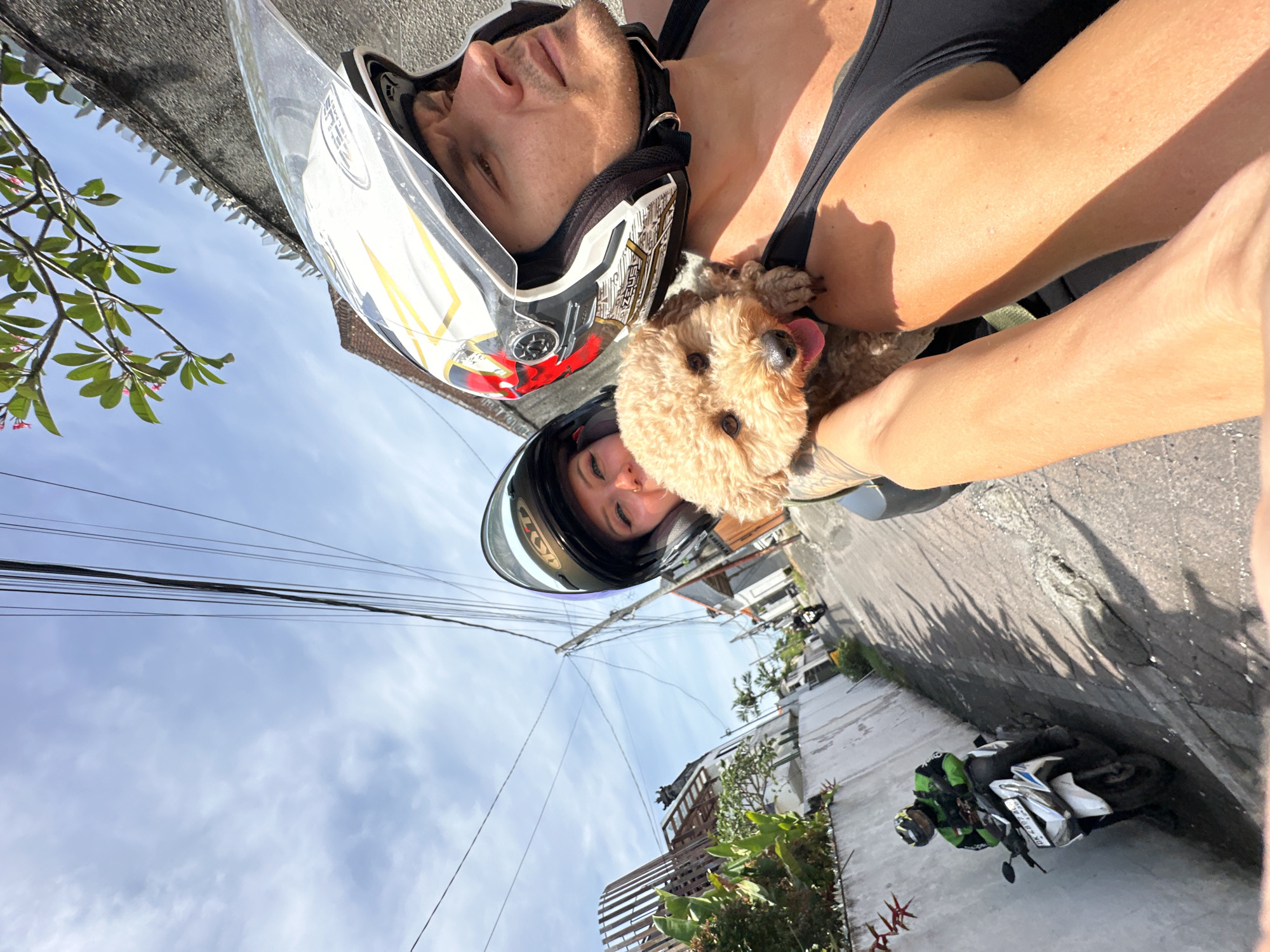 The image shows two people and a dog on a motorcycle. A man in a white helmet is next to a woman in a black helmet, with a tan dog being held by someone next to the woman. The scene appears to be in North Kuta, Indonesia, based on the architecture, foliage, and the presence of power lines. The background shows buildings, trees, and other parked motorcycles.