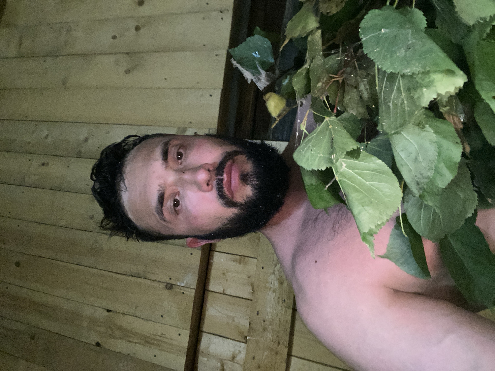 The image shows a close-up, waist-up view of a man with dark hair and a beard, holding a bundle of green leaves. He is shirtless, and his skin appears flushed, suggesting he might be in a warm environment. The background consists of wooden planks, which could indicate a sauna or a rustic wooden structure. The lighting is dim, with a warm tone, and the focus is on the man and the leaves. The image was taken in the city of Zhigalki, Russia.