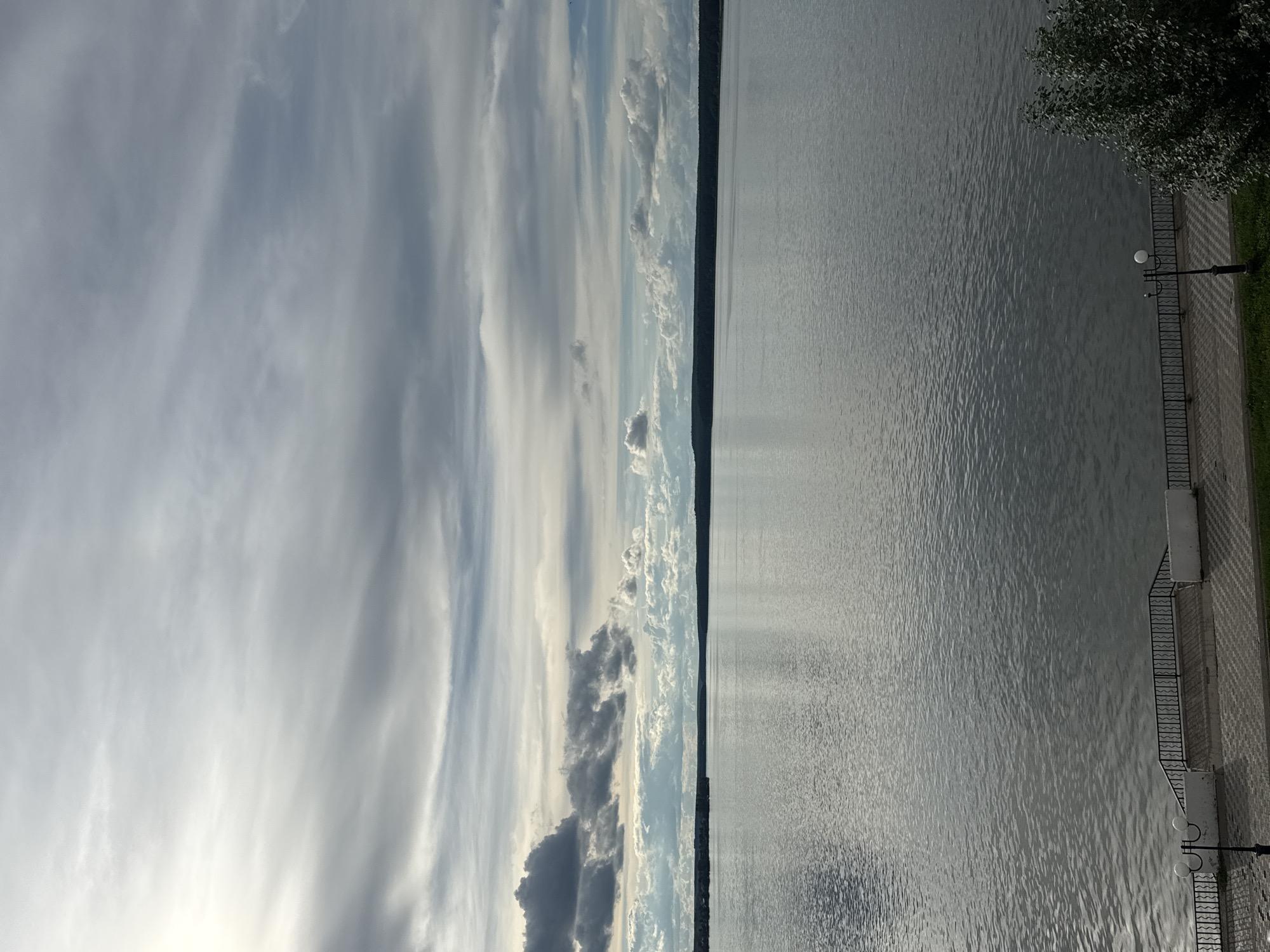 The image depicts a panoramic view of the Votkinsk Reservoir in Votkinsk, Russia, under a cloudy sky. The reservoir occupies the majority of the frame, with its surface reflecting the muted tones of the sky. A dark, tree-lined shoreline is visible in the distance, forming a horizontal band across the middle ground. In the foreground, a paved walkway runs along the edge of the reservoir, bordered by a decorative black metal fence. Two lampposts are positioned along the walkway. To the right, a dense tree with dark green foliage is partially visible. The scene suggests a tranquil, overcast day by the water.