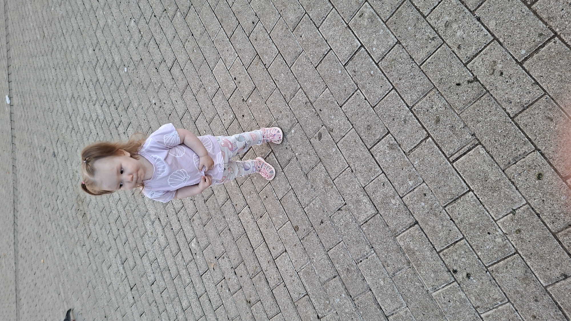 A young child, likely a toddler, stands on a paved surface composed of rectangular grey bricks laid in a herringbone pattern. The child has light skin, light brown hair styled in two pigtails with pink ties, and is wearing a light pink t-shirt with a white seashell pattern and matching light pink leggings with cartoonish prints. Pink sandals are on the child's feet. The child is looking to their left, with their hands clasped in front of their stomach, appearing to hold the hem of their shirt. The background is a continuation of the brick paving, with some debris visible in the distance. No specific city location can be determined from the visual information provided.