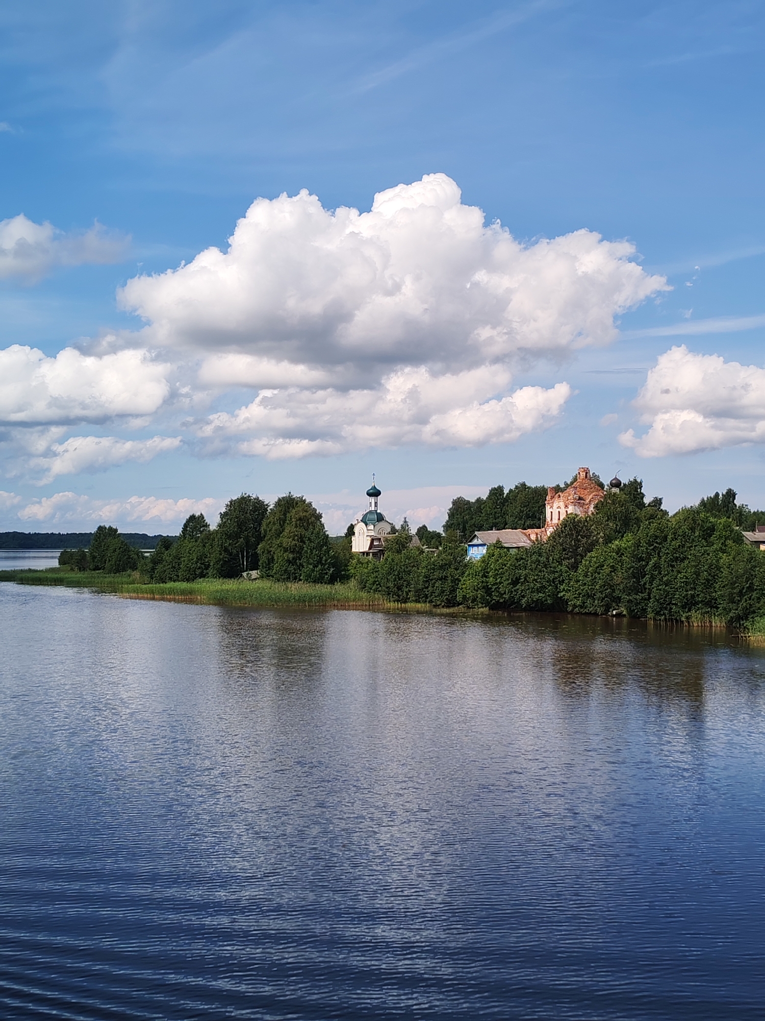 This is a wide-angle, horizontal, eye-level shot of a body of water with a tree-lined shore and a village on the opposite bank under a partly cloudy blue sky. The water occupies the lower two-thirds of the frame and is dark blue with gentle ripples reflecting the sky and trees. The shore, which is the left bank of the body of water, is lined with tall green reeds and then densely packed green trees. The right bank features a village partially obscured by trees. In the village, there are several buildings including a white church with a green dome and a cross, and a partially ruined red brick building with black domes. The sky is bright blue with large, puffy white clouds. The scene appears to be in the village of Анхимово, Russia, likely a lakeside or riverfront view. There are no people or animals visible in the image.