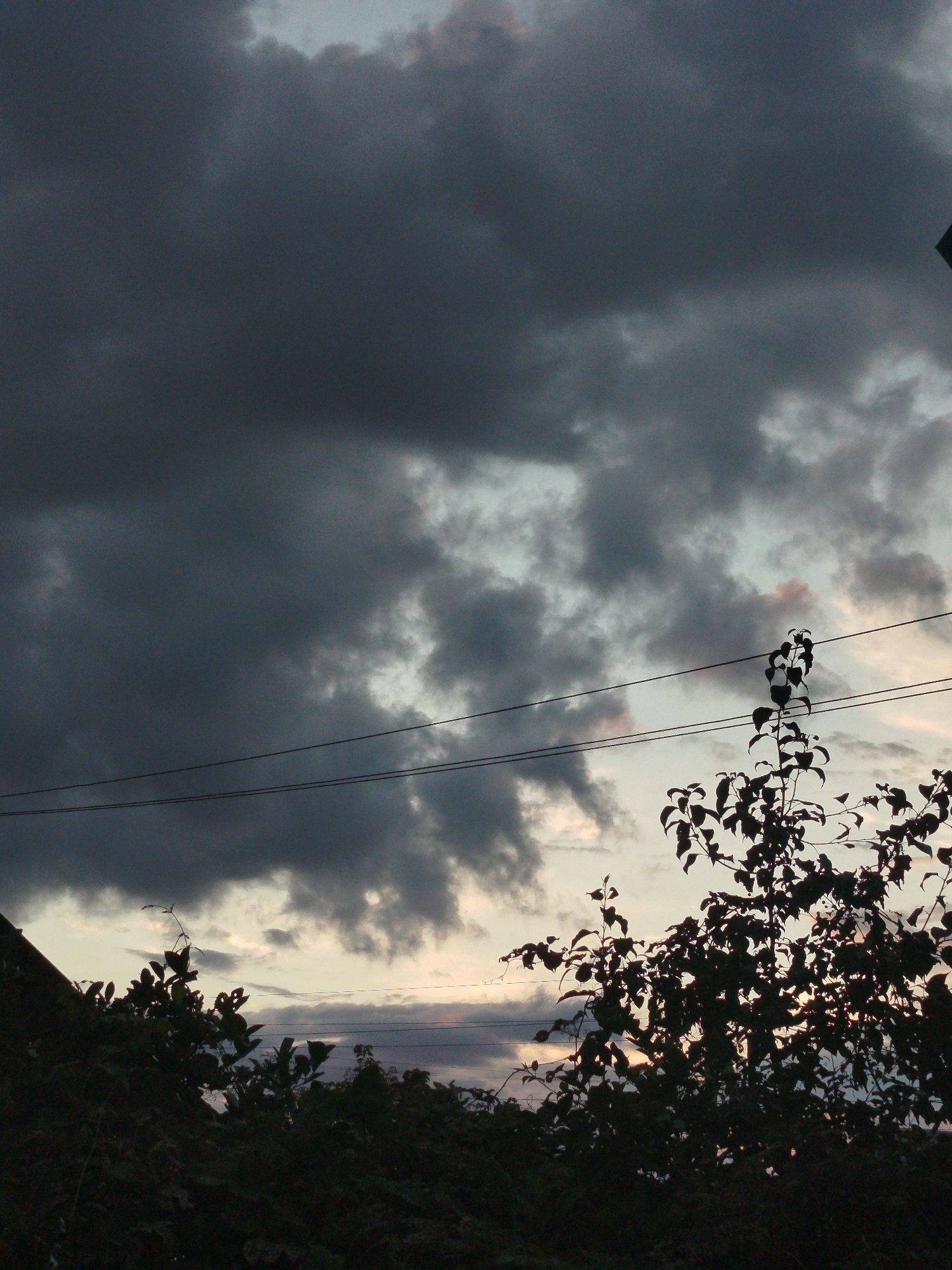 This is a vertical, medium-shot, outdoor photograph taken in Zavodoukovsk, Russia. The scene depicts a twilight sky with dark, heavy clouds dominating the upper portion of the frame. Thin power lines stretch horizontally across the middle of the image, dividing the sky. Below the power lines, silhouetted against the lighter parts of the sky, are the dark shapes of trees and foliage. A portion of a roofline is visible on the far left of the image, suggesting the presence of a building. The overall mood is somber and possibly foreboding, likely due to the impending weather suggested by the dark clouds. The time of day is dusk or just after sunset, as indicated by the dim light and the color gradients in the sky. There is no visible text in the image.
