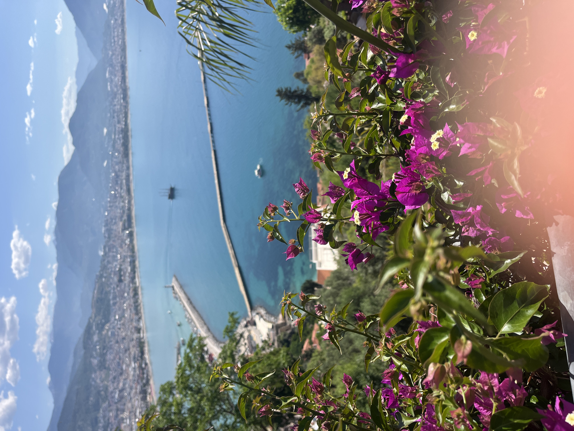 A vertically-oriented, medium-distance shot captures a panoramic view of Alanya, Turkey. The foreground is dominated by vibrant purple bougainvillea flowers with green leaves, partially obscuring the landscape. The turquoise sea stretches from the foreground to the midground, bisected by a long, thin pier. In the distance, the Alanya cityscape is visible, flanked by mountains under a partly cloudy sky. A boat is seen in the water.