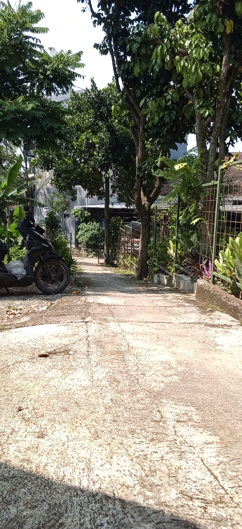 The image depicts a sunlit outdoor scene, possibly a pathway or driveway in Banjaran, Indonesia. In the foreground, a concrete surface shows cracks and rough texture, with some dry leaves scattered on it. To the left, a black motorcycle is parked, its front wheel and part of the engine visible. Beyond the motorcycle, a narrow paved path leads into a green, leafy area. Lush vegetation, including trees with broad leaves and some with hanging fruit, lines both sides of the path. A metal fence, green in color, runs along the right side of the path, separating it from a neighboring area with more plants and structures. In the background, the facade of a building, possibly a house or a commercial establishment, is visible behind the trees, with a gray, textured exterior. The overall atmosphere is that of a warm, sunny day in a tropical environment.