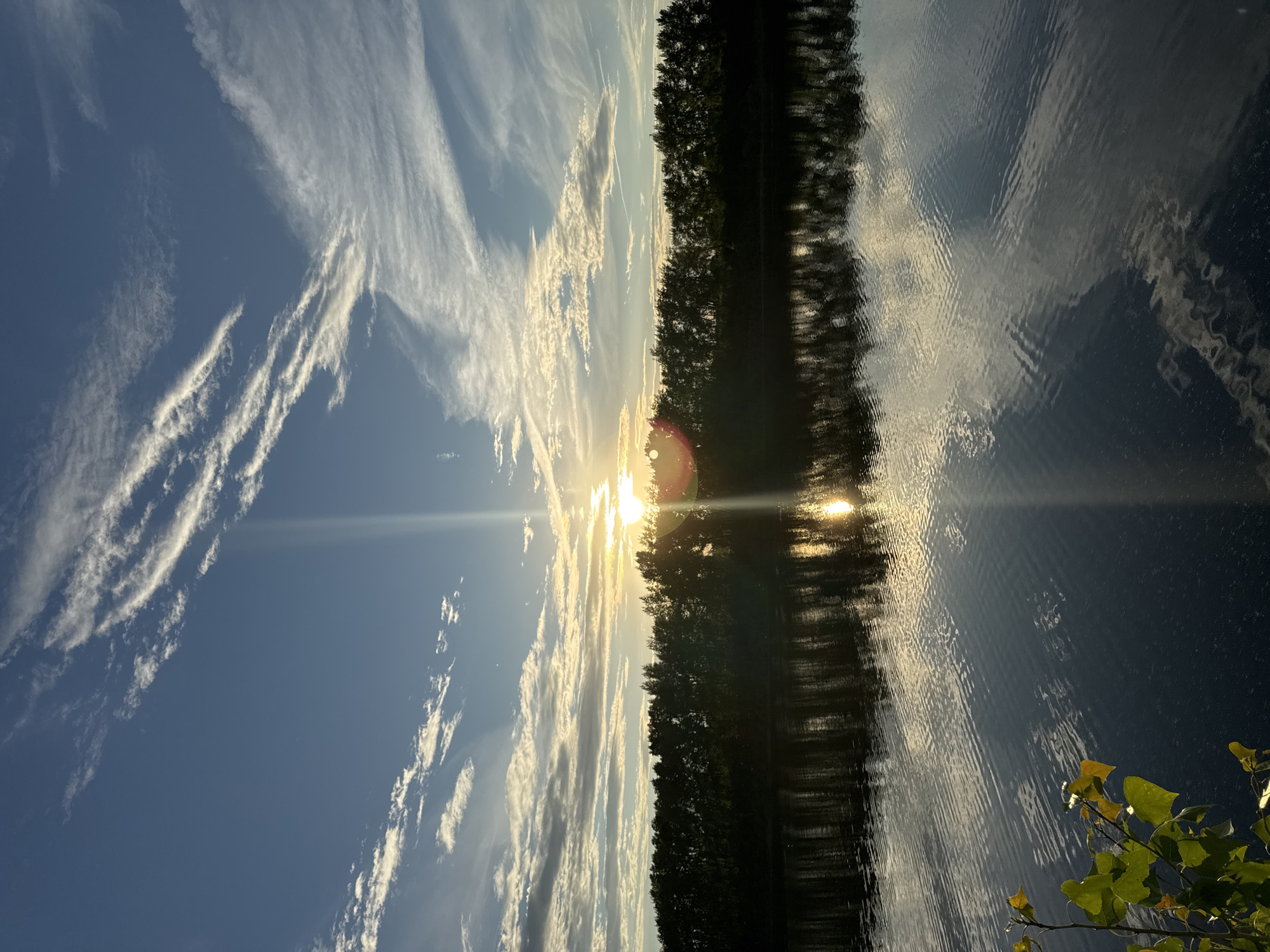 This media file depicts a serene natural landscape scene, likely a lake or river at sunset. The image is oriented vertically, with the sky occupying the left side and its reflection on the water on the right. The sky is a clear, deep blue, streaked with wispy, elongated white clouds that are illuminated by the setting sun. The sun itself is a bright, golden orb positioned near the horizon, casting a warm glow and creating a lens flare effect.
A dense line of silhouetted trees forms a dark band across the middle of the image, separating the sky from the water's surface. These trees are reflected in the water, creating a mirror image that is distorted by the gentle ripples on the water. The reflections show the golden light of the sunset shimmering across the water's surface. In the lower right corner, a small cluster of green and yellow leaves from a nearby branch adds a touch of foreground detail.
The overall mood of the image is peaceful and tranquil, evoked by the warm, soft light of the sunset and the calm reflection on the water. The time of day is clearly sunset, indicated by the low angle of the sun and the golden hues. There are no people or text visible in the image. The location context suggests this scene is in Chaikovsky, Russia.