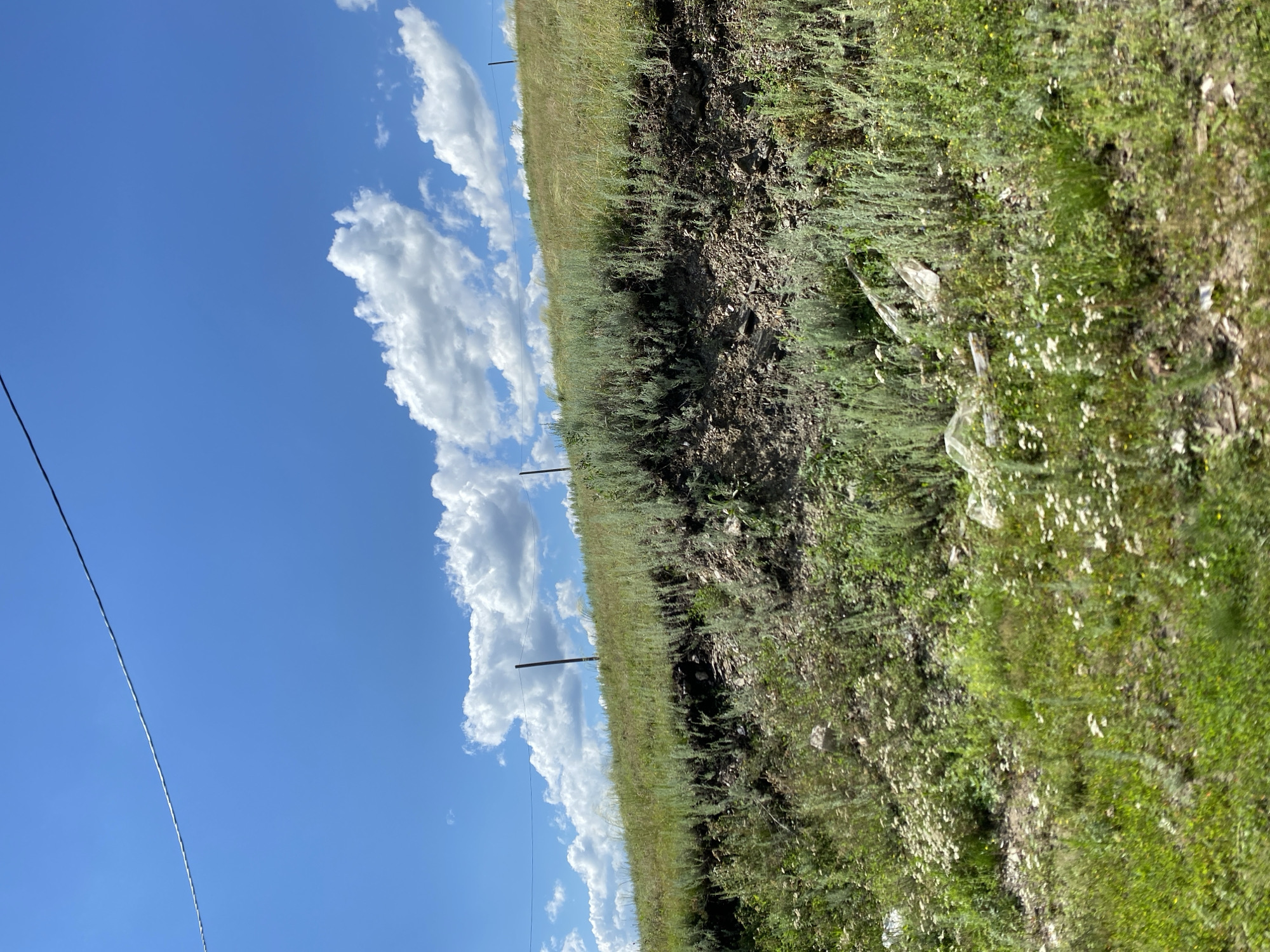 This is a vertical, medium-range outdoor shot of a grassy hillside with a blue sky and white clouds above, taken on a bright, sunny day. A thin, dark wire stretches diagonally across the upper portion of the frame, supported by two poles that are visible on the hillside. The hillside itself is covered in green and yellow grasses, with patches of bare earth and rocks. Small white wildflowers are scattered throughout the foreground. The scene appears to be a natural, undeveloped area. The location is identified as Yuldybayevo, Russia.