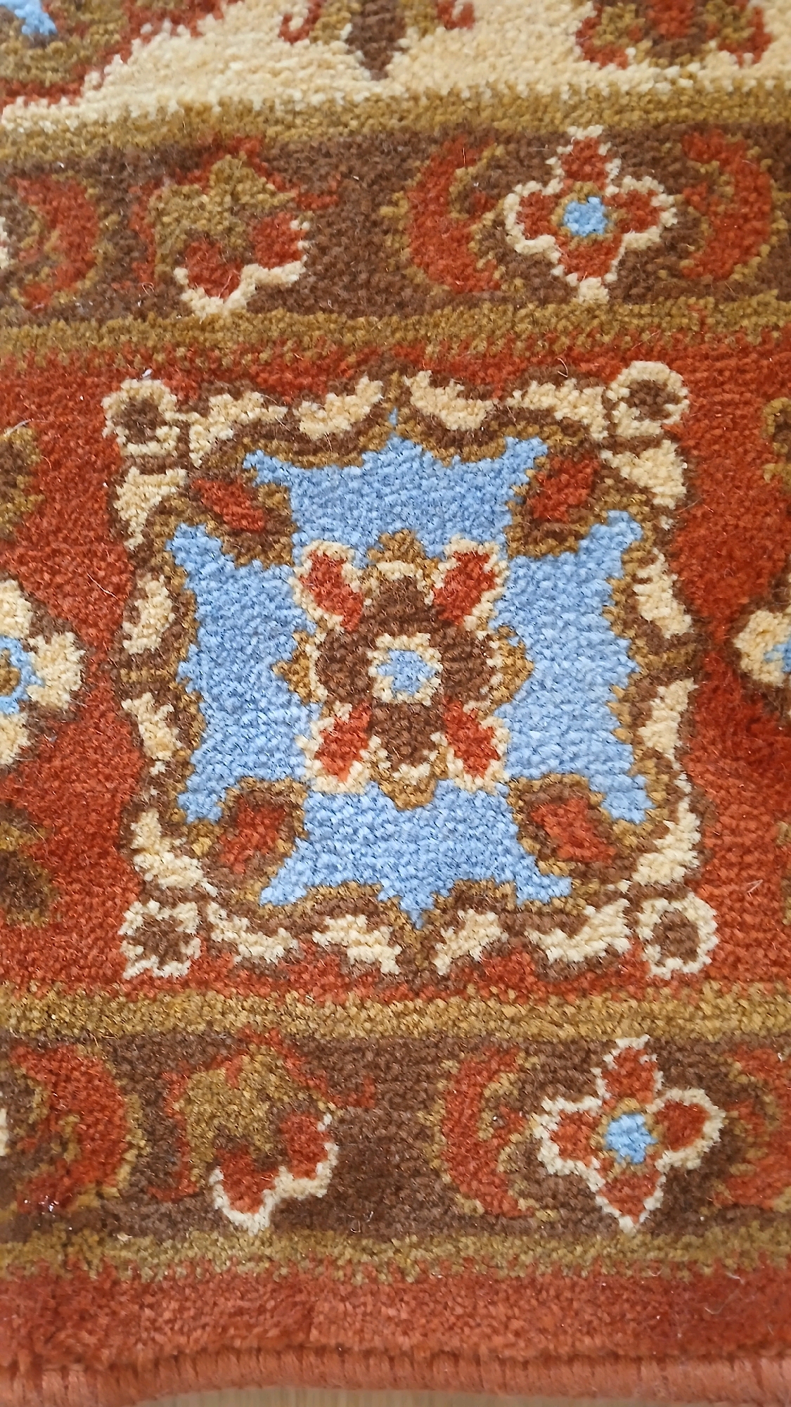 The image shows a close-up view of a rug with a detailed pattern. The rug features a central medallion design with blue and tan elements, surrounded by a border of intricate floral and geometric motifs in red, brown, and tan. The texture of the rug appears to be thick and plush. The scene is devoid of any environmental context, such as a specific location within Visaginas, Lithuania, or any observable people or actions. It is a static, textile-focused depiction.
