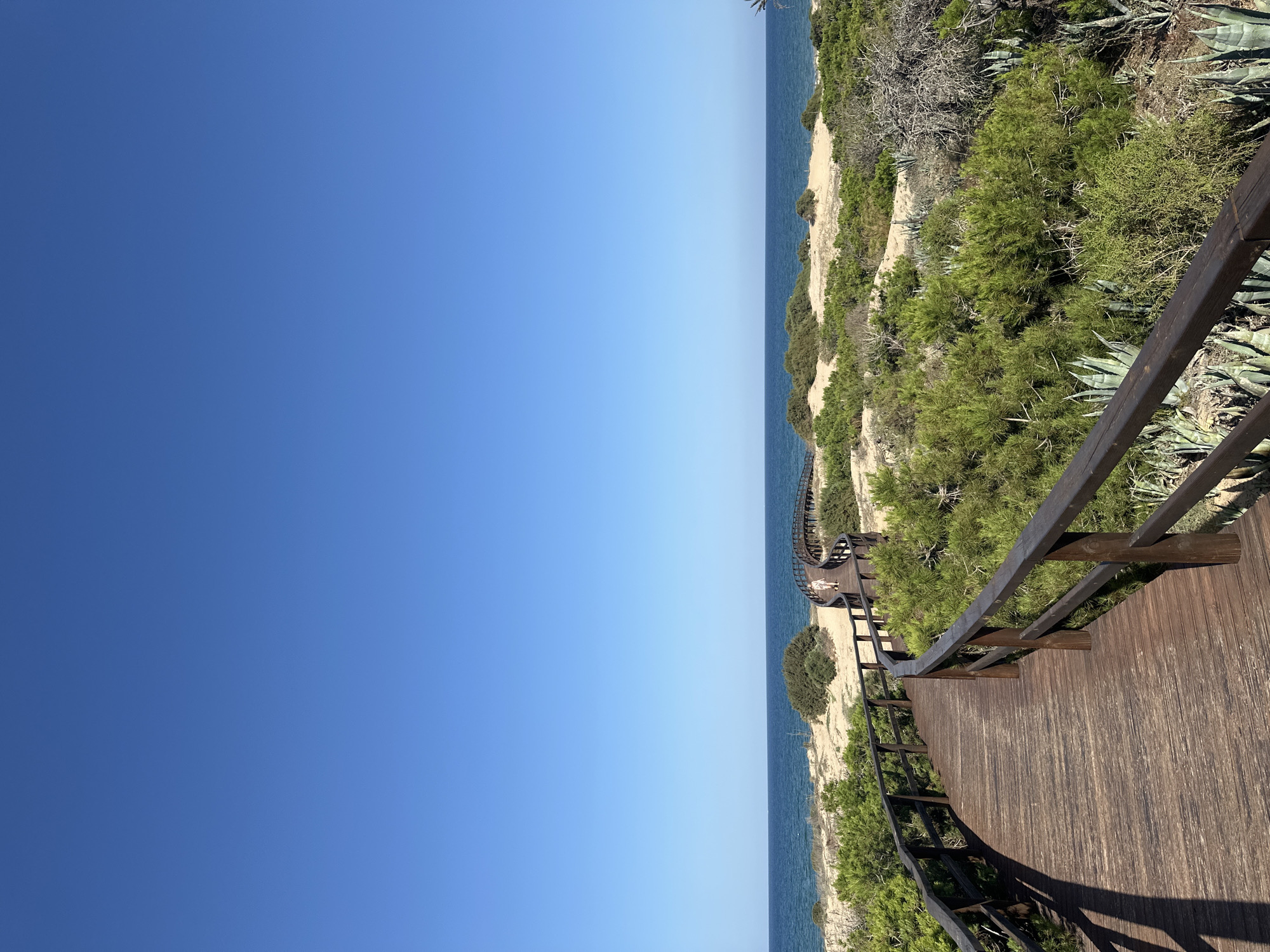A wooden boardwalk curves through a sandy dune landscape dotted with green shrubbery and agave plants. The boardwalk, made of dark wooden planks and railings, leads towards the ocean, which is visible in the background under a clear blue sky. A single person is walking on the boardwalk in the distance. This scene is located in Guardamar del Segura, Spain, specifically in the pine forests and dunes area which is a protected natural park.