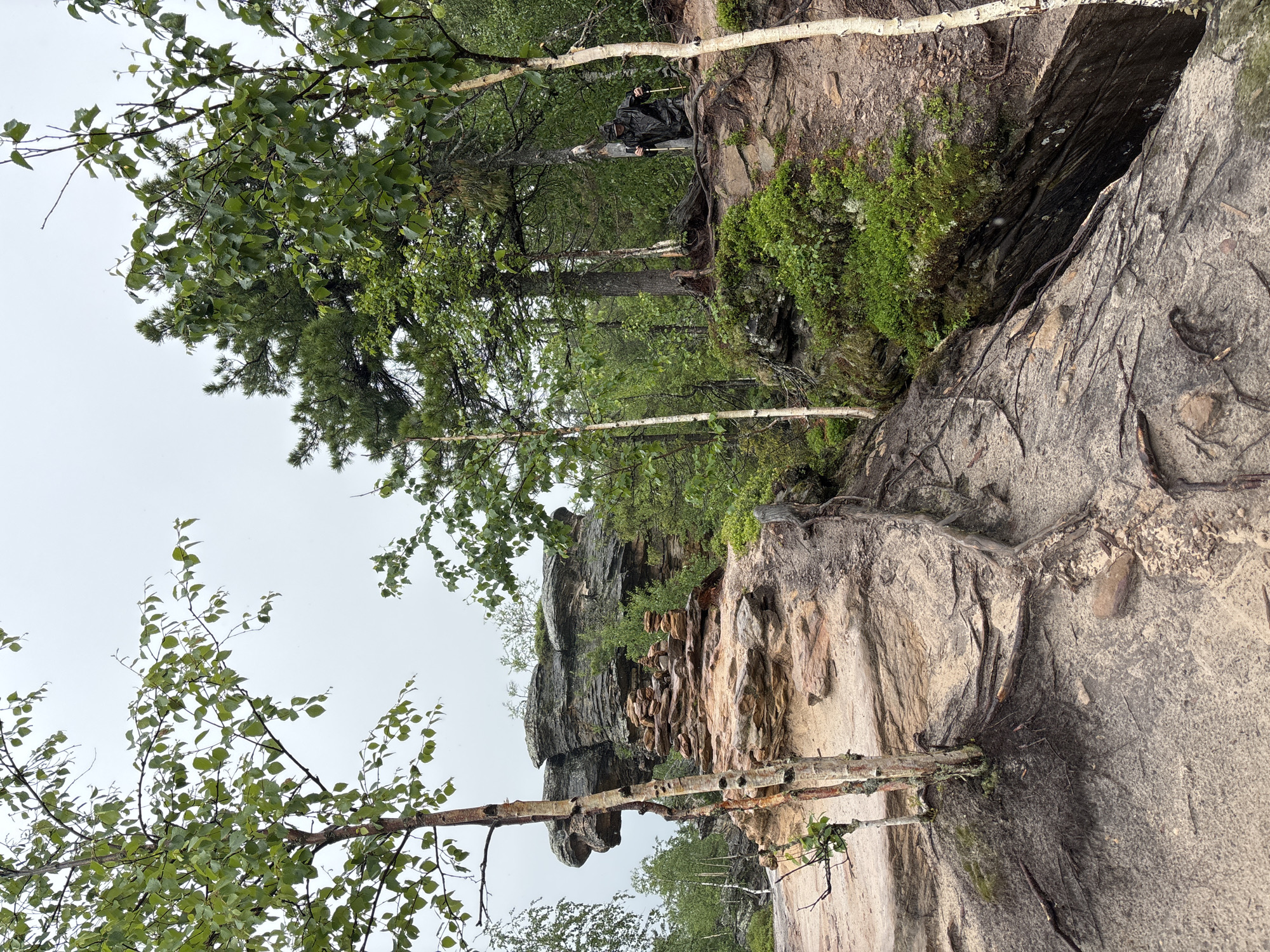 A person is hiking in a rocky, forested area with a cloudy sky. The person is wearing a dark hooded raincoat and holding two hiking poles. They are positioned on a dirt path to the right of the frame, surrounded by trees and large rock formations. In the foreground, the path is sandy with exposed tree roots. To the left, there is a prominent rock outcrop with stacked stones, and several birch trees with white bark. The background consists of dense green foliage and a grey, overcast sky. The specific location in the city of Shumikhinskii, Russia is not discernible from the visual information provided.