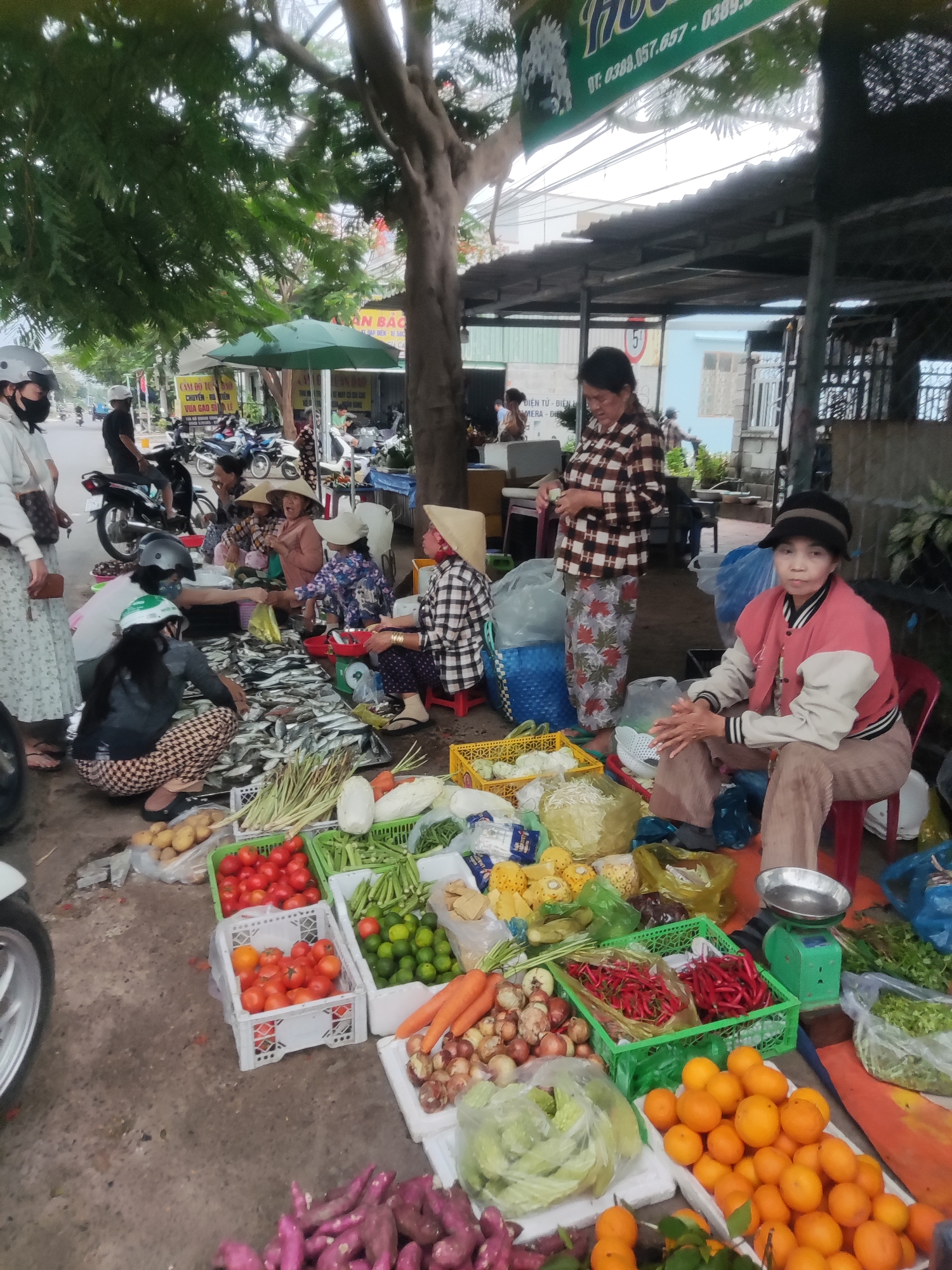 This image depicts a bustling outdoor market scene, likely in Vietnam, characterized by numerous vendors and customers. The setting is a paved street or pathway, partially shaded by large trees and makeshift awnings, with buildings visible in the background.
**Subjects:**
Several people are present, primarily women, many of whom are wearing traditional Vietnamese conical hats (nón lá) or other hats. They appear to be vendors and customers. A woman in a plaid shirt and floral pants stands near the center, while another woman in a pink and beige jacket and dark cap sits on a red stool, looking towards the camera. Many individuals are engaged in interactions around the market stalls. Motorbikes are parked and driven along the street in the background, indicating a busy urban or semi-urban environment.
**Objects and Scene:**
The ground is covered with a vibrant display of fresh produce. Large quantities of fish are laid out on tarps or mats, attracting customers. Surrounding the fish are numerous plastic crates and baskets overflowing with a diverse selection of vegetables and fruits. These include bright red tomatoes, green okra, red chilies, carrots, potatoes, onions, limes, corn, leafy greens, oranges, purple sweet potatoes, and small pineapples. Weighing scales are visible on some stalls, used for transactions. Makeshift market stalls are set up under a large tree and corrugated metal roofs.
**Activity:**
The central activity is the buying and selling of fresh produce. Vendors are actively attending to their goods and interacting with customers, while customers are seen browsing and making selections, such as one person reaching for the fish. The scene conveys the daily routine of a local market.
**Notable Details:**
The time of day appears to be daytime, possibly morning, given the market setting and natural lighting. The weather seems mild and overcast or heavily shaded, with no harsh sunlight. The prevalence of conical hats and the type of produce suggest a location in Southeast Asia, specifically Vietnam. The overall atmosphere is lively and commercial.
**Visible Text:**
Several signs with Vietnamese text are visible in the background. These include "CAM DO 10810", "CHUYEN - ROIEN", "VUA GAD SIDA LE", "AN BAC", "DAP BIEN KE SOC", "ACA", "DIEN TU - DIEN", and "MERA-DIE". A banner also displays phone numbers "DT: 0388.057.657" and "0389". These texts likely refer to various businesses or services in the area.