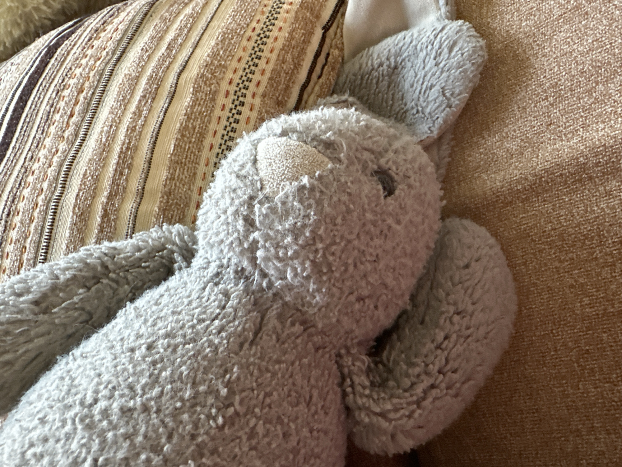 A close-up, overhead shot shows a plush gray bunny toy lying on its side on a textured orange surface. The bunny's head is on the right side of the frame, with one ear visible and the other obscured. Its body extends to the left, with its legs tucked underneath. Behind the bunny, a striped pillow with horizontal bands of cream, brown, and black is visible. The overall scene is soft and appears to be indoors. There are no people or discernible urban elements in the image, making it impossible to determine its location in Minsk, Belarus.