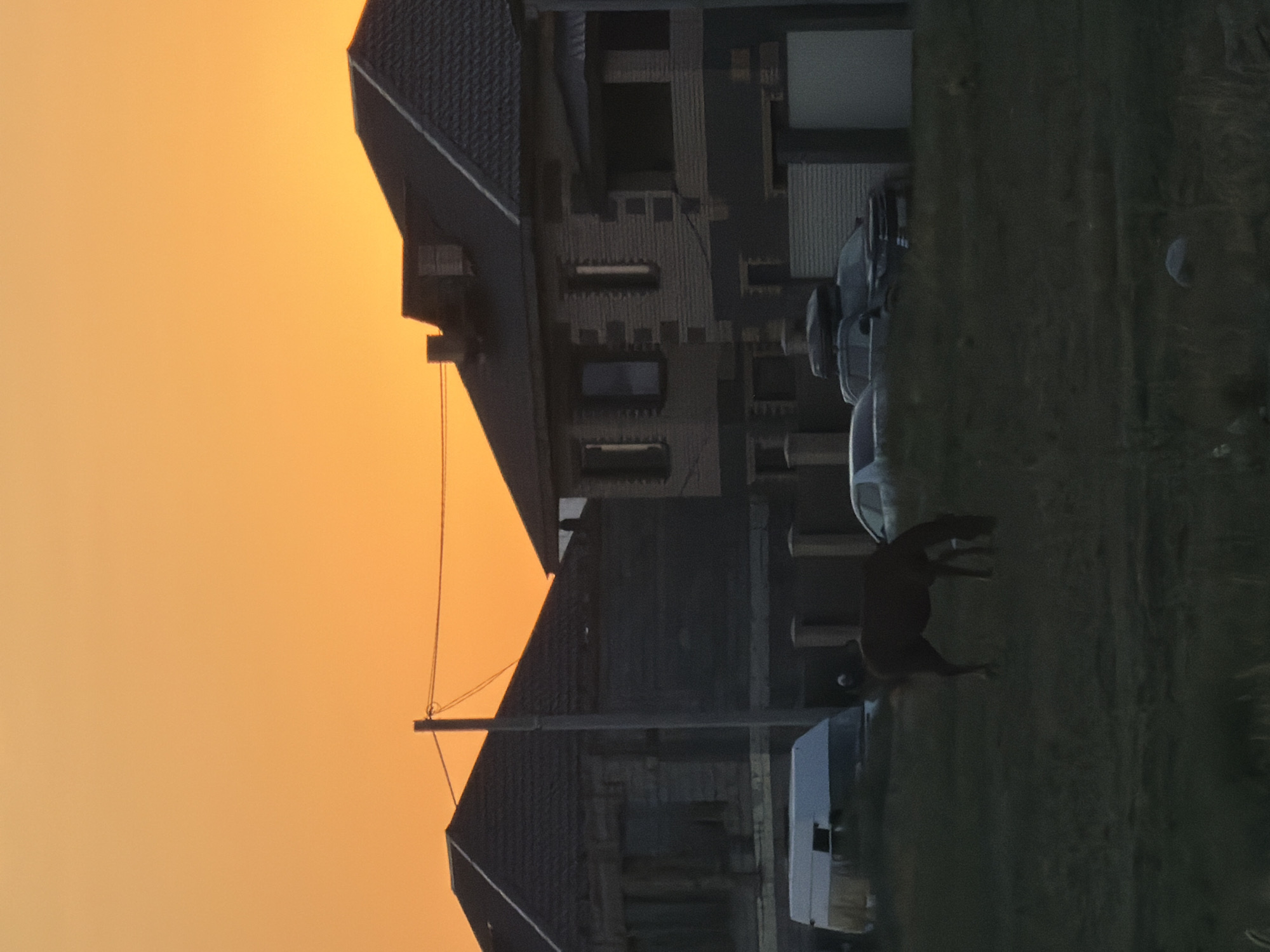 A horse grazes in a field in front of a row of houses. The sky is a vibrant orange, indicating a sunset. In the foreground, the horse is the central subject, facing right with its head down, likely eating grass. Behind the horse, several houses are visible, with dark roofs and windows. Some cars are parked in front of the houses. A white van is parked to the left of the houses. The overall scene depicts a rural or semi-rural residential area at dusk. The image captures a peaceful, serene moment with the natural beauty of the sunset contrasting with the man-made structures.