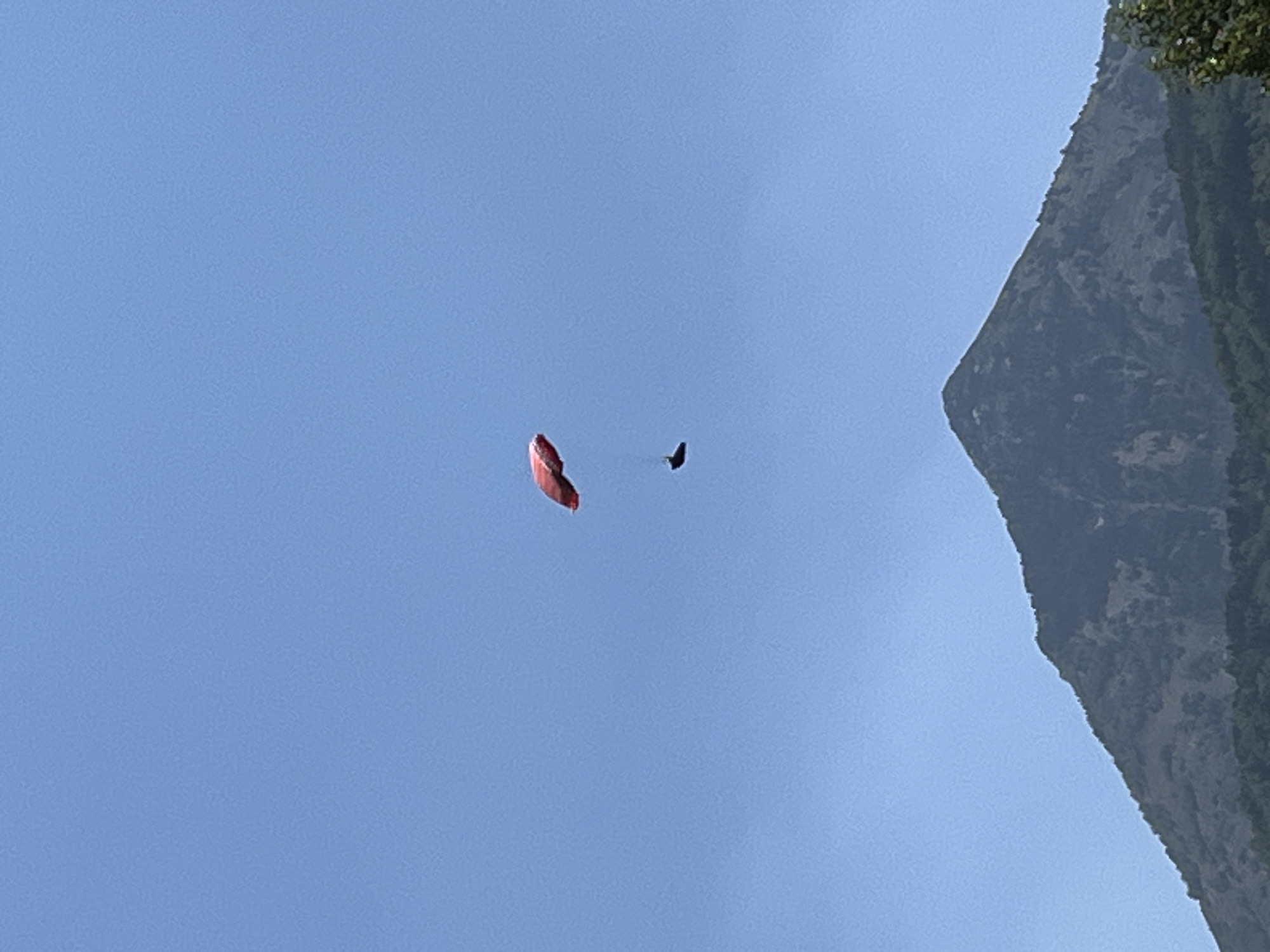 In Sahún, Spain, a paraglider, identified by a red canopy and a dark figure beneath it, is captured mid-flight against a clear blue sky. Below the paraglider, the rugged, tree-covered slopes of a mountain dominate the lower portion of the frame, with the peak of the mountain reaching towards the paraglider. The scene suggests an outdoor recreational activity taking place in a mountainous region.