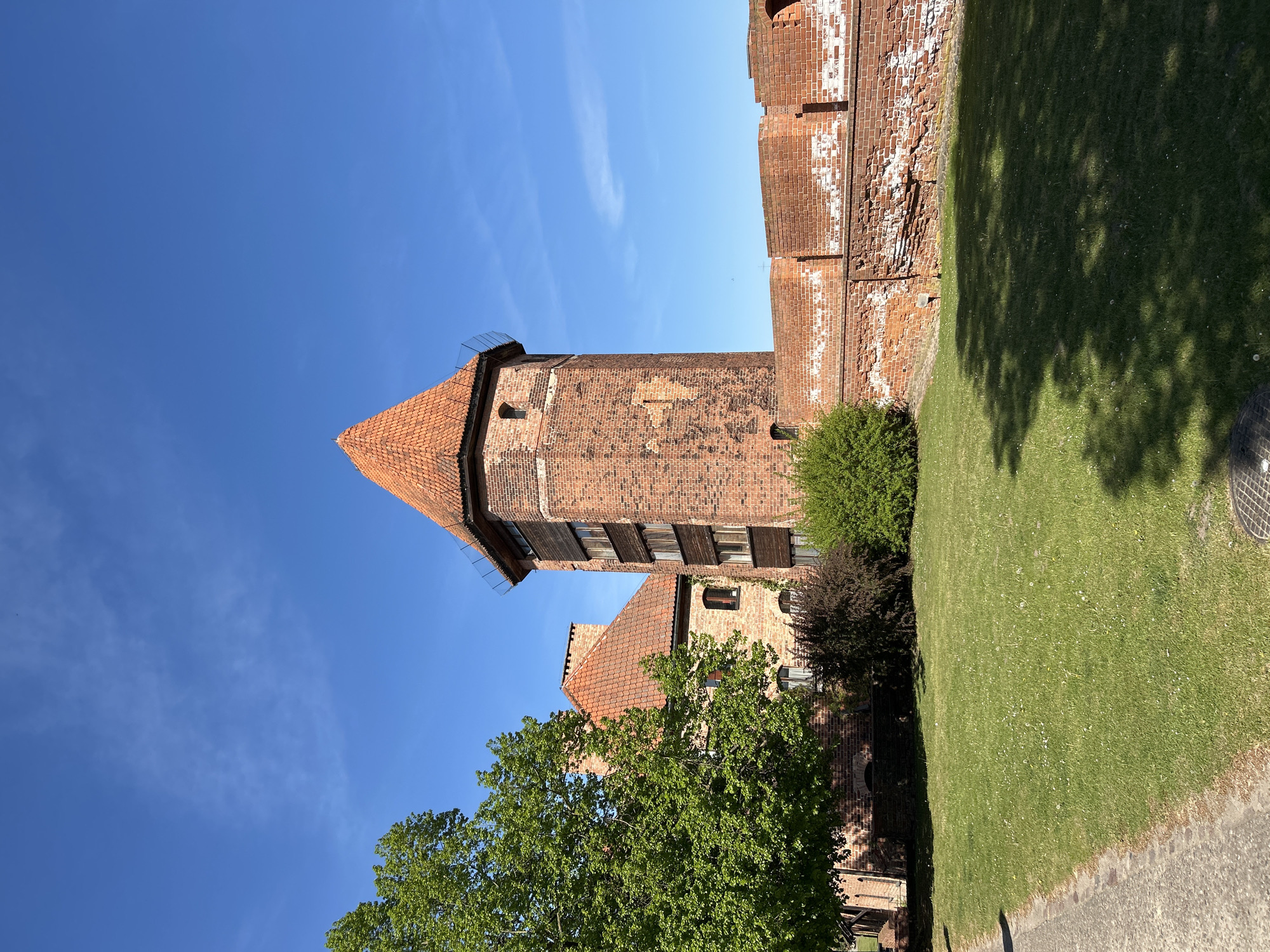The image shows a tall, red-brick tower with a tiled roof, likely part of the Malbork Castle in Poland. The tower stands prominently against a clear blue sky with wispy clouds. A brick wall extends from the tower, bordering a green lawn. A tree with green foliage is visible in the lower left corner, and several bushes are planted near the wall. The scene is illuminated by bright sunlight, casting shadows on the grass. A paved walkway is visible in the lower right corner.
