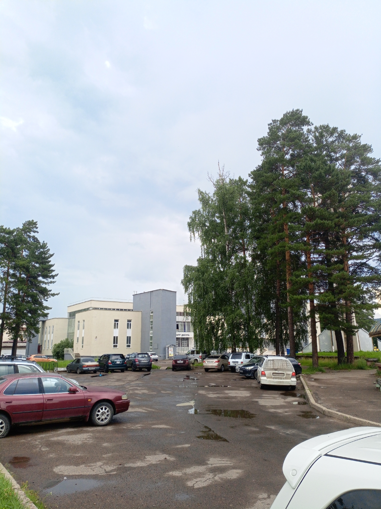 A medium shot captures a parking lot in front of a modern, multi-story building under a cloudy sky. The building has a light beige and gray facade with numerous windows. Several cars are parked in the lot, including a dark red sedan in the foreground on the left, a white hatchback in the middle, and various other sedans and SUVs parked further back. Tall pine and birch trees line the right side of the parking lot, some obscuring the view of the building's right section. The asphalt parking surface appears wet and shows signs of wear, with several puddles visible. The environment suggests an urban or suburban setting. No people are visible in the image.