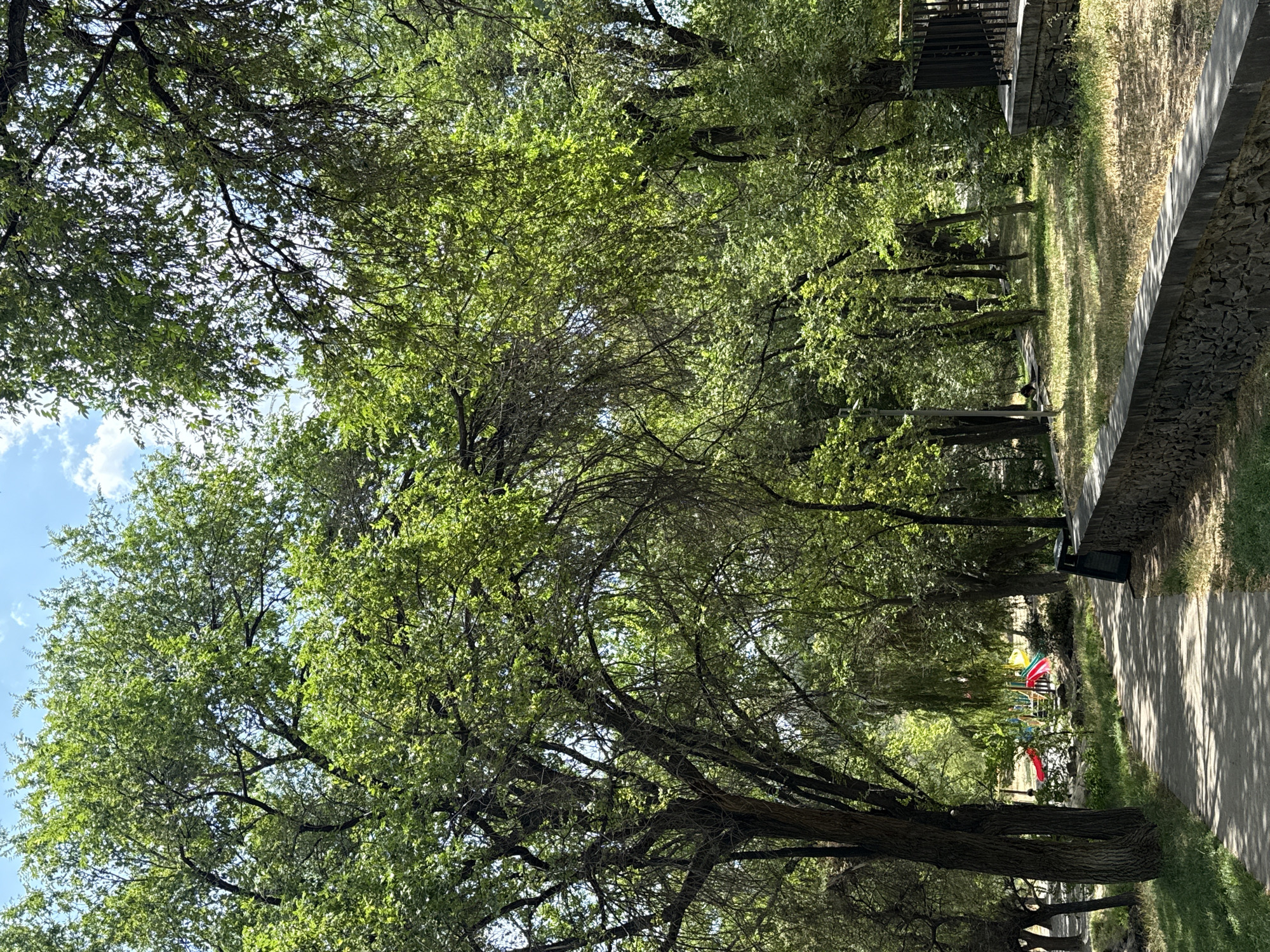 The image depicts a park scene in Yerevan, Armenia, under a bright, partially cloudy sky. A paved pathway curves through the park, bordered by a low stone wall on the right and lush green trees on both sides. The trees are dense with leaves, creating dappled sunlight on the pathway and grass. In the background, a playground with colorful slides and structures is visible among the trees. A trash receptacle is situated near the pathway and stone wall. The overall impression is of a serene and well-maintained urban park.