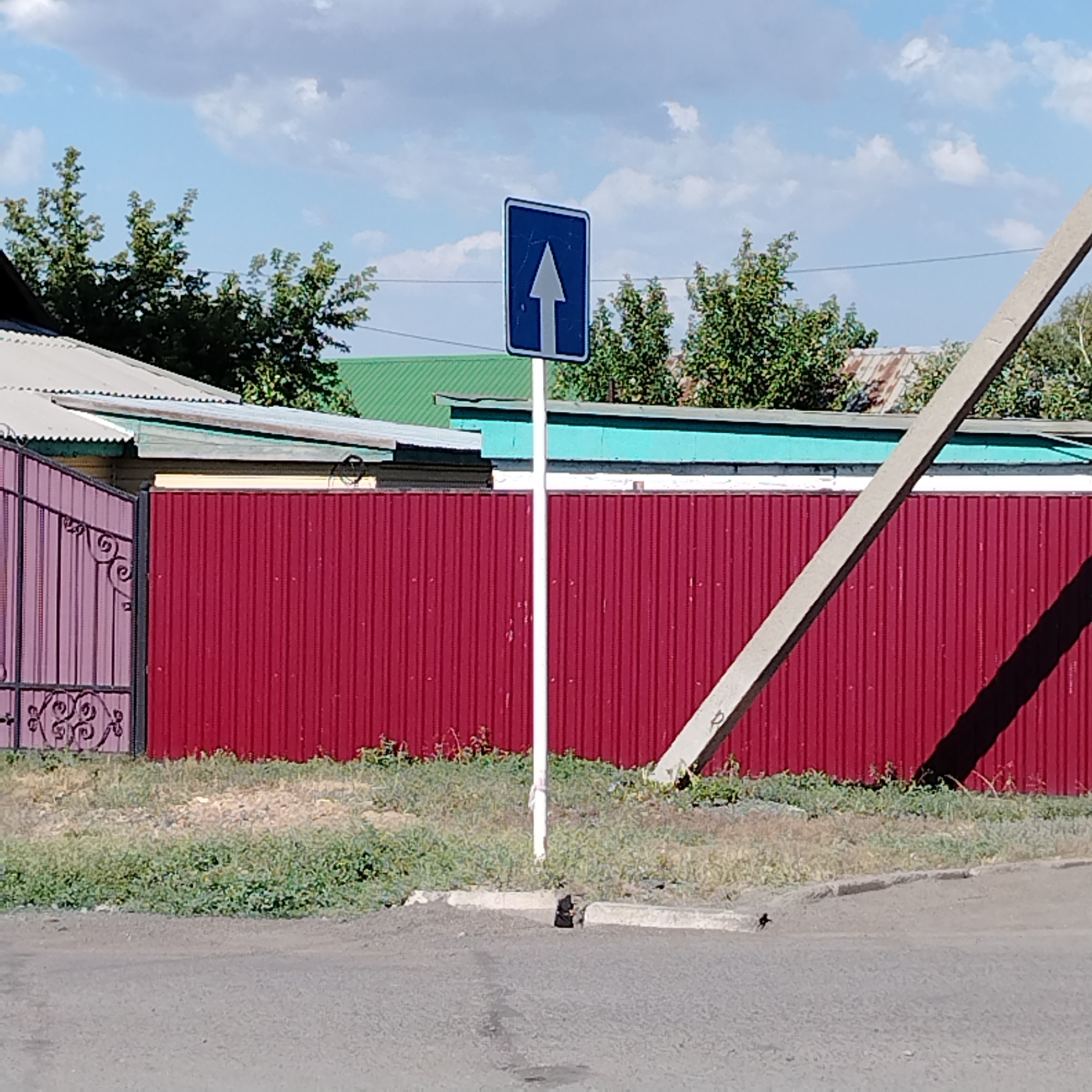 The image shows a street scene in Ekibastuz, Kazakhstan. The main subject is a blue and white directional sign with an upward-pointing arrow, indicating a one-way street. The sign is mounted on a white pole. In the background, there is a long, red corrugated metal fence. Behind the fence, there are buildings with metal roofs and some green trees. A light-colored concrete pole or support structure is visible on the right side of the frame, leaning diagonally. The ground in the foreground is asphalt. The sky is partly cloudy. There are no people visible in the image. The scene appears to be a typical residential or commercial street in a town.