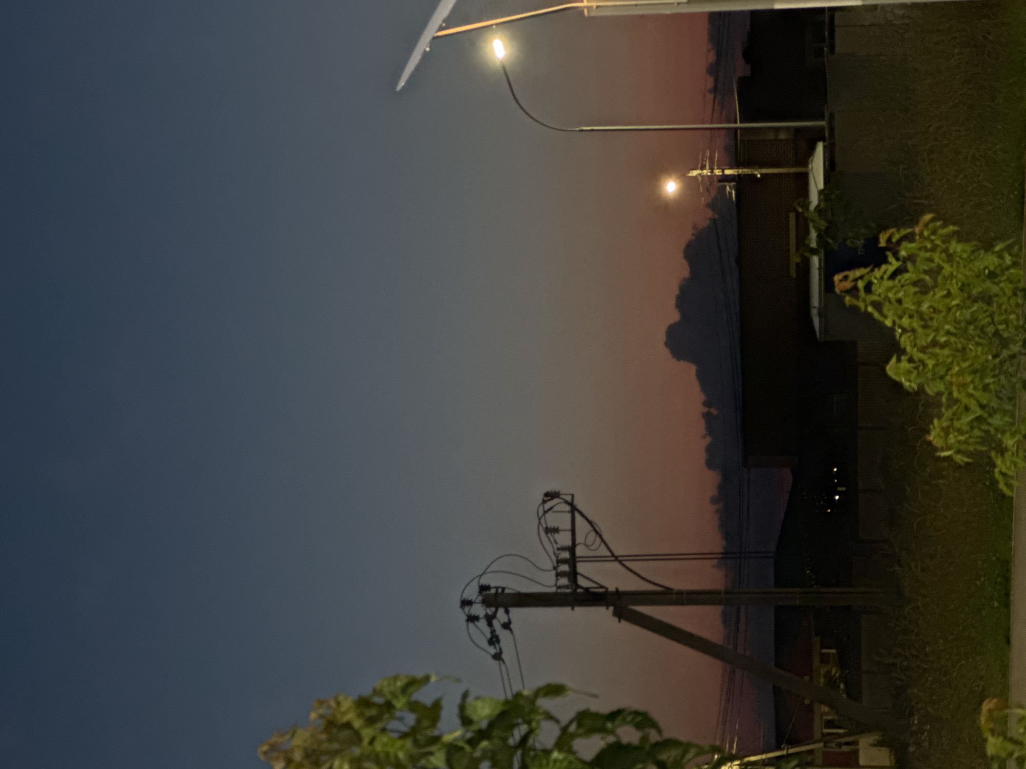 This media file depicts a nighttime scene in Mikhaylovsk, Russia. The image is oriented vertically. In the foreground, lush green foliage, likely bushes or trees, occupies the bottom portion of the frame, partially obscuring the view of the scene beyond.
Dominating the midground are utility poles with numerous wires strung between them, silhouetted against the twilight sky. One pole is particularly prominent, with a complex network of wires and insulators.
The background reveals buildings and a streetscape. Streetlights cast a warm glow, illuminating parts of the scene. The sky displays a gradient of colors, transitioning from a deep blue or twilight gray at the top to a soft pinkish-orange hue near the horizon, suggesting either sunset or sunrise. Wispy clouds are visible in the colored part of the sky, adding texture. The overall impression is one of a quiet, perhaps residential, urban or suburban area at dusk or dawn. There is no visible text.