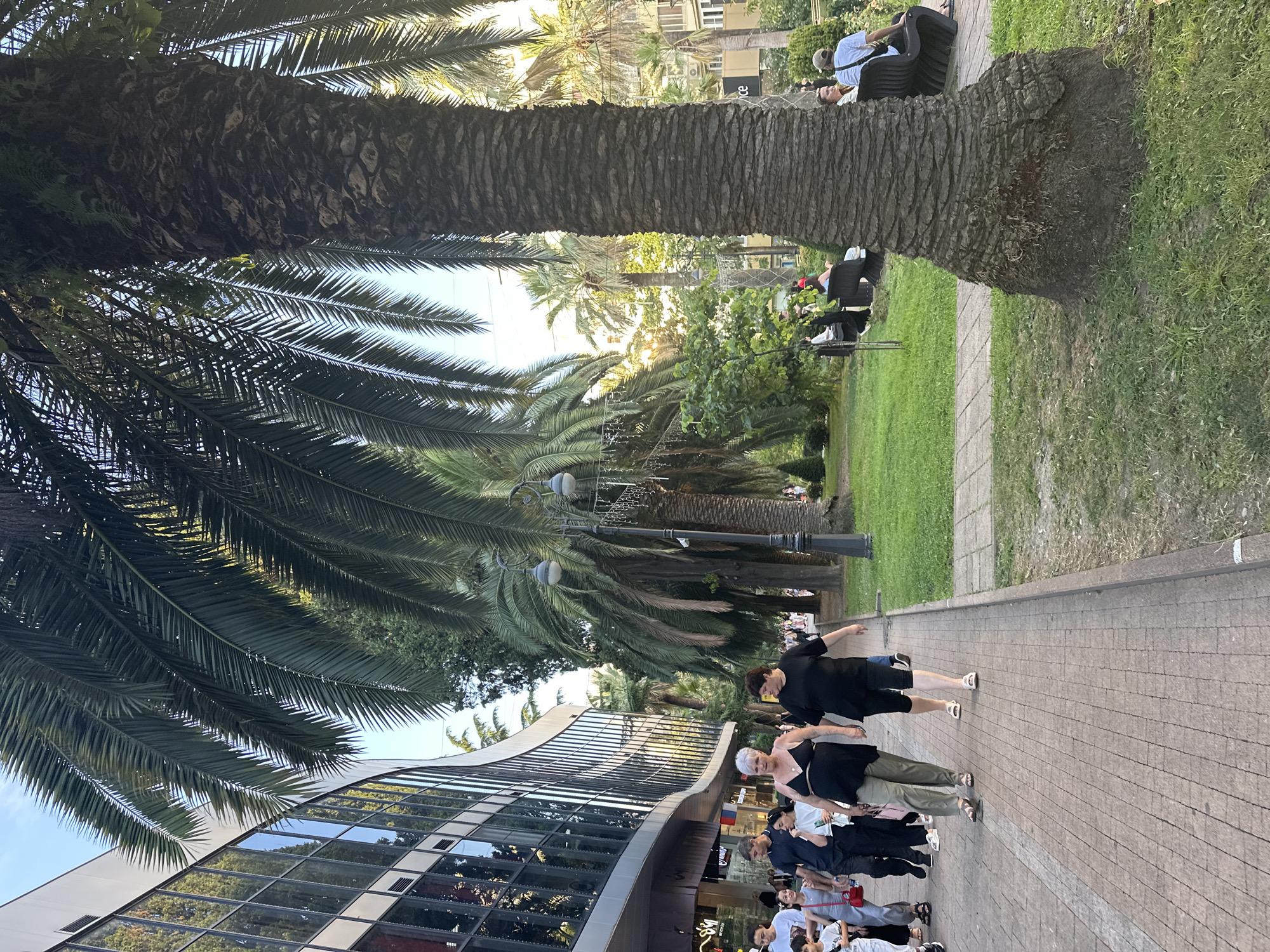 The image depicts a lively scene in a city park or pedestrian area, likely located in Sochi, Russia, given the presence of palm trees and the general atmosphere suggesting a resort town. In the foreground, a large palm tree trunk dominates the right side of the frame. To the left, a modern building with a curved glass facade lines the walkway. People are seen strolling along a paved path. Two women in casual attire are walking towards the viewer, the one on the left wearing a black tank top and green pants, and the one on the right in a black t-shirt and black leggings. Other individuals, including children, are also visible walking in the same direction. In the background, a lush green lawn is dotted with benches where several people are seated, enjoying the outdoors. The lighting suggests it is late afternoon or early evening, with the sun casting a warm glow. Street lamps are visible, indicating this is a public space designed for evening activity. The environment is characteristic of a warm climate city, with abundant greenery and a relaxed, urban setting.