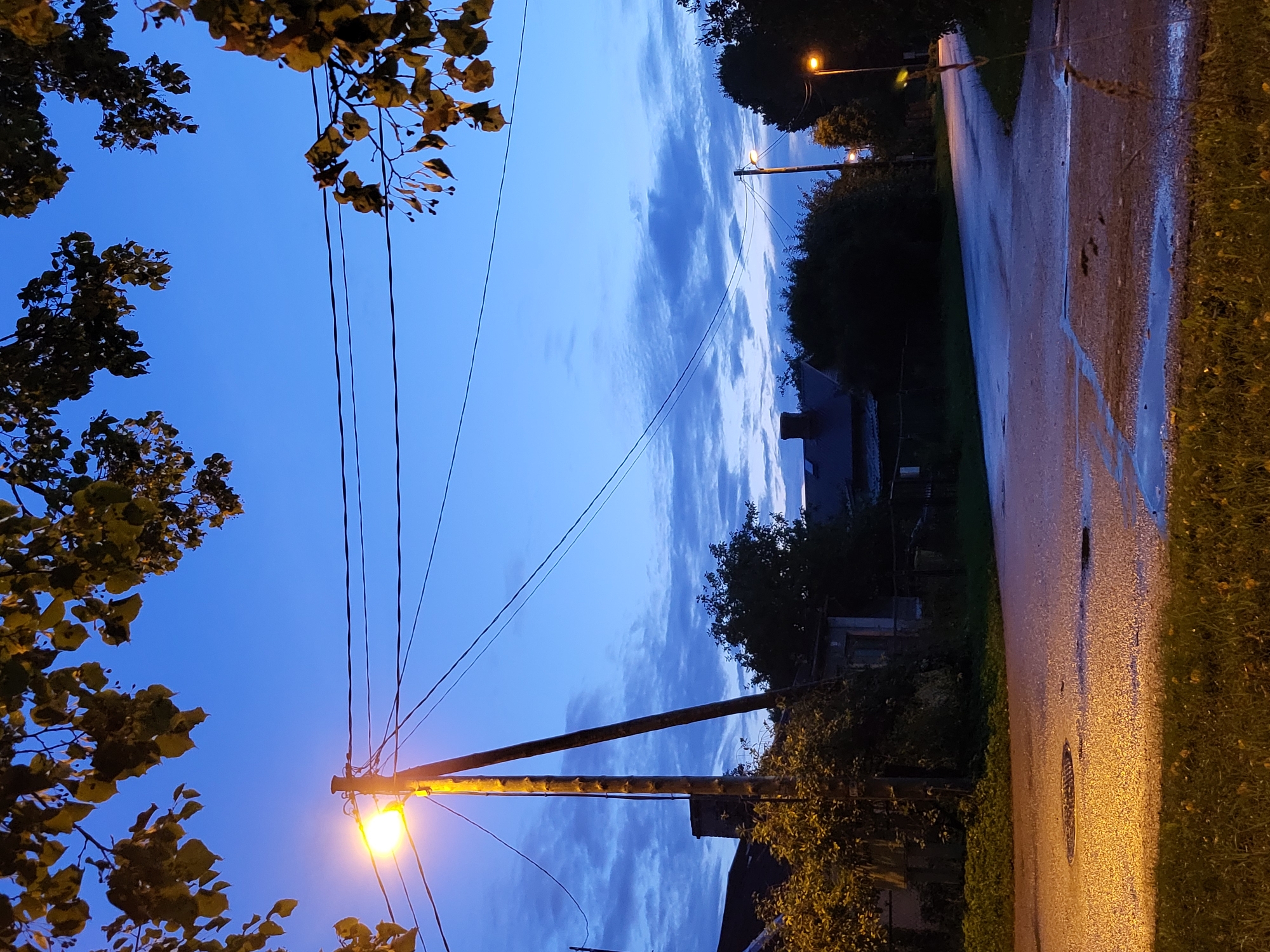 The image depicts a street scene at dusk or early night in Jelgava, Latvia. A street lamp illuminates a wet asphalt road, with reflections of the light on the puddles. Houses and trees line the street, and power lines are visible overhead. The sky is a deep blue with scattered clouds. The overall atmosphere is quiet and peaceful, suggesting a residential area.