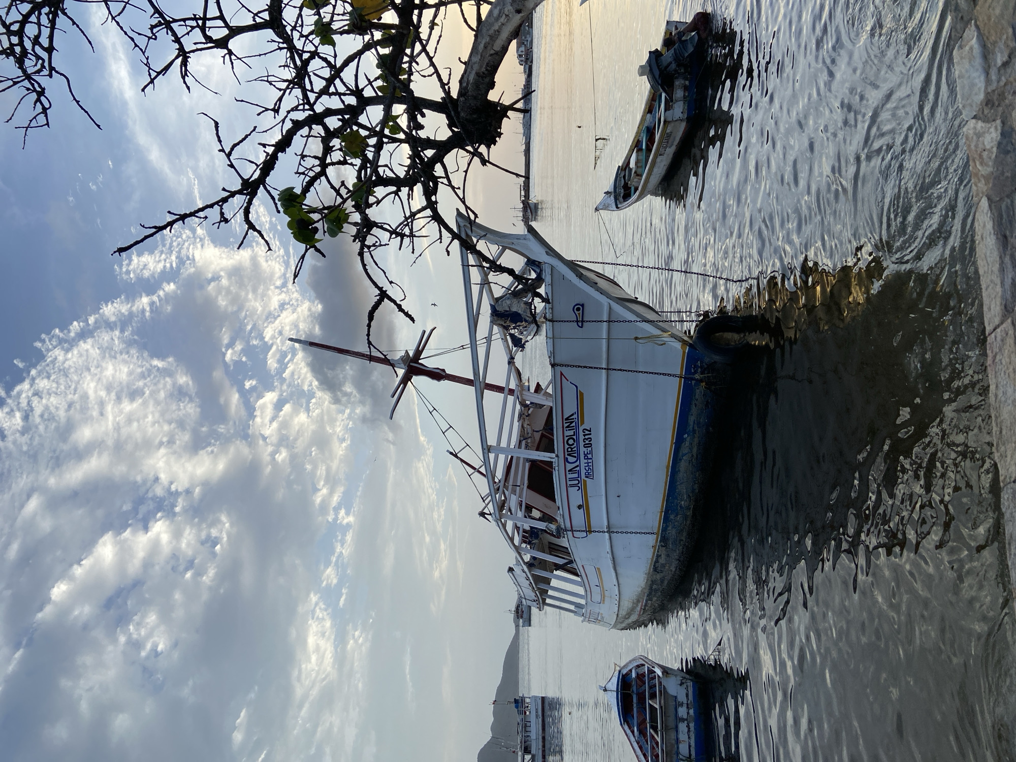 The image captures a serene waterscape at dusk in Juan Griego, Venezuela, likely near the waterfront or harbor. Dominating the foreground is a weathered white boat, identified by the lettering "JULIA CAROLINA ARSH-PE-0312" on its side, moored in calm water. To its left, a smaller, empty rowboat with blue trim bobs gently. In the middle ground, several other boats are visible, some anchored, some in transit, contributing to a sense of a working port. The background is characterized by a hazy horizon, with faint outlines of hills and structures suggesting a coastal town. The sky above is a canvas of soft, diffused light, with scattered clouds reflecting the fading sun, creating a tranquil and slightly melancholic atmosphere. A bare-branched tree in the upper right corner partially frames the scene, its dark silhouette contrasting with the lighter sky. The water's surface is rippled, reflecting the muted colors of the sky and the boats. The overall impression is one of quietude and the end of a day's activity.