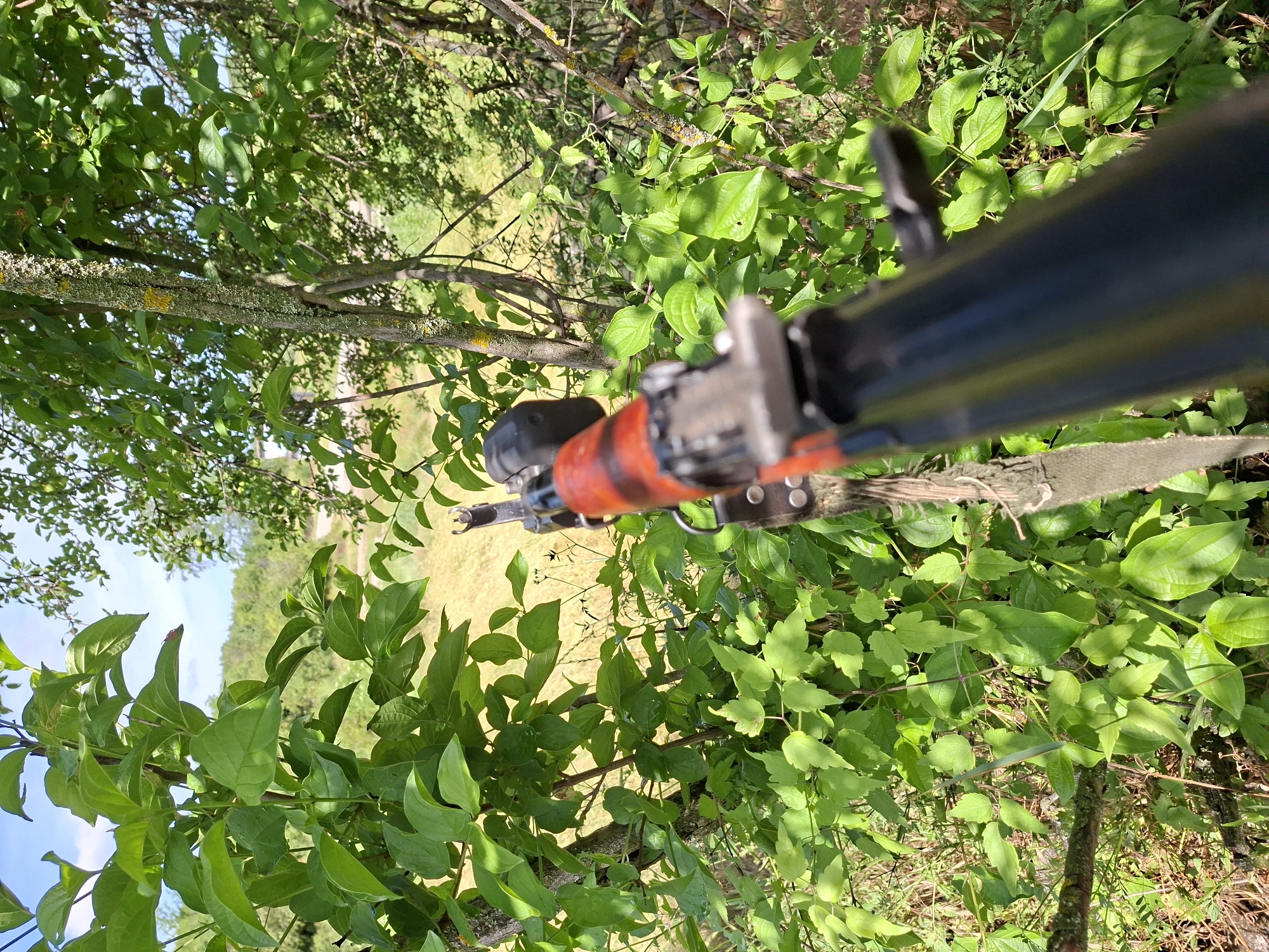 In an outdoor, natural setting, a firearm is held with its barrel pointed forward through dense green foliage. The firearm appears to be an assault rifle with a wooden handguard featuring a reddish-orange stain. Its metallic components are visible, including the rear sight and part of the receiver. A woven strap is attached to the rifle. The background consists of trees, undergrowth, and a distant, undulating landscape under a clear blue sky. The focus is on the weapon and the surrounding vegetation, creating a sense of concealment or observation.