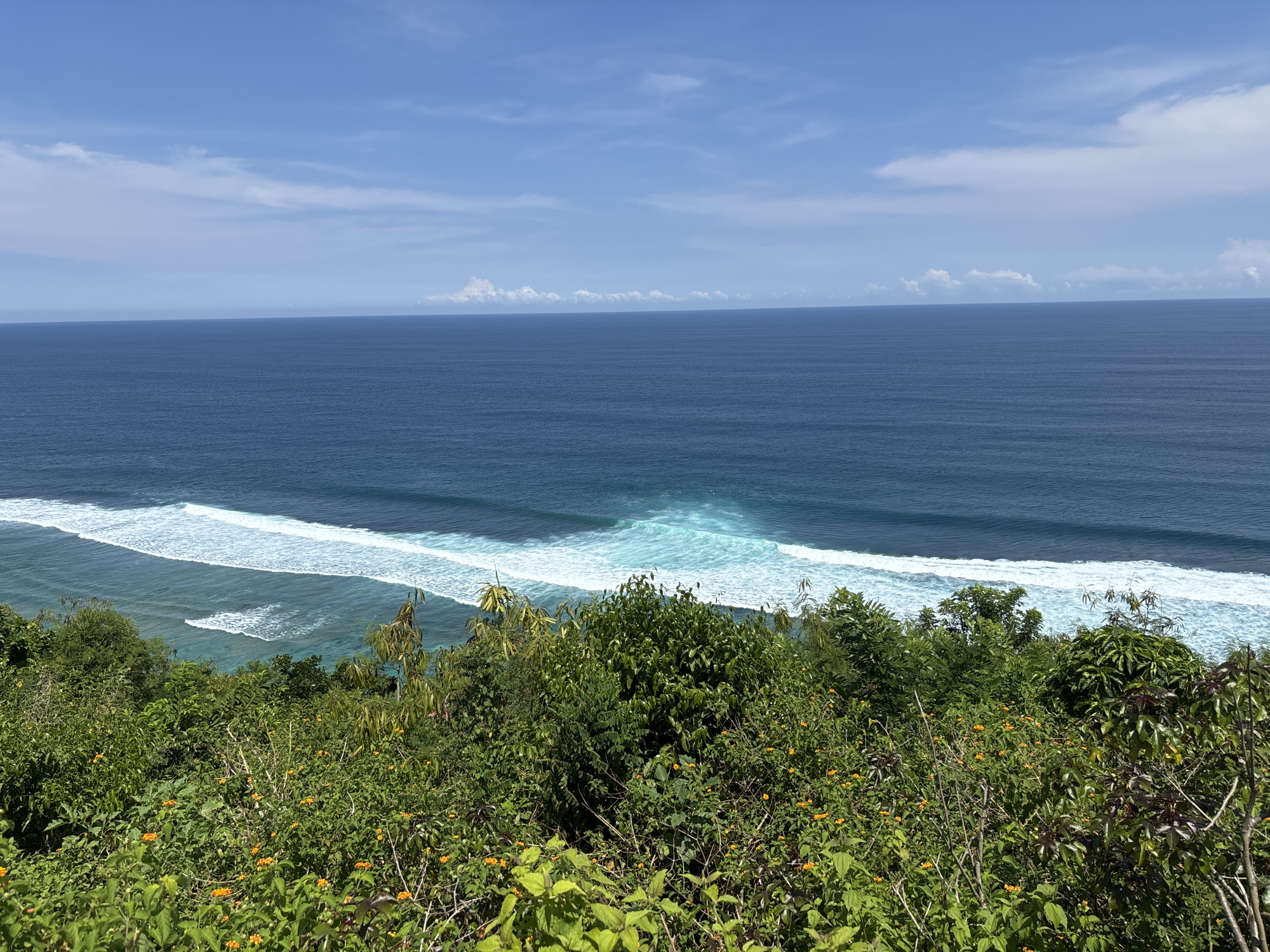 The scene shows a landscape in Ungasan, Indonesia, featuring a view from an elevated position overlooking the ocean. The ocean stretches out with varying shades of blue, marked by distinct waves with white foam crests. In the foreground, there is lush green vegetation, including trees and flowering plants with small yellow blossoms. The sky above is blue with scattered white clouds.