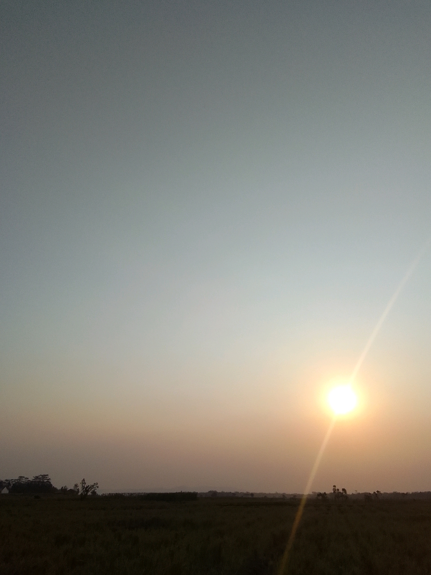 A serene, low-angle, vertical shot captures a sunset over a rural landscape. The sky transitions from a pale blue at the top to a warm, hazy orange closer to the horizon. A bright, low-hanging sun is visible on the right, casting a strong light ray downwards. In the distance, a dark, flat expanse of what appears to be fields or farmland stretches across the bottom third of the image. Silhouetted against the horizon are scattered trees and a low line of vegetation. The overall impression is one of tranquility and natural beauty during the golden hour. The image is likely located in or around Dermasari, Indonesia, given the tropical vegetation and rural setting.