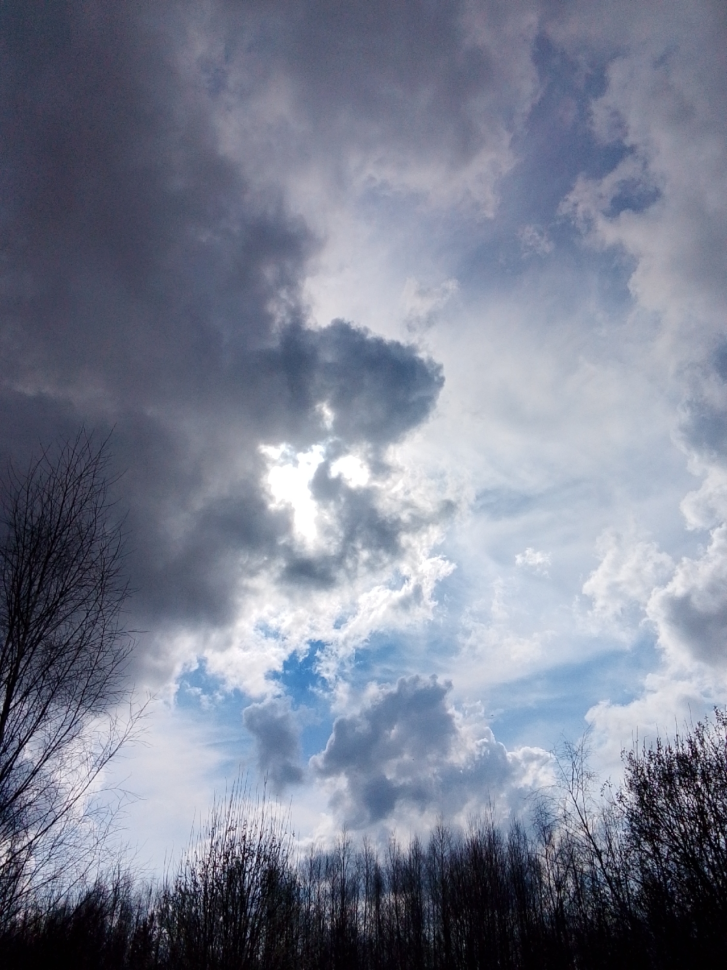 The image shows a sky filled with clouds in Snopok Novyi, Russia. A patch of blue sky is visible between the clouds. Dark silhouettes of trees and bare branches are in the foreground. No people are visible.