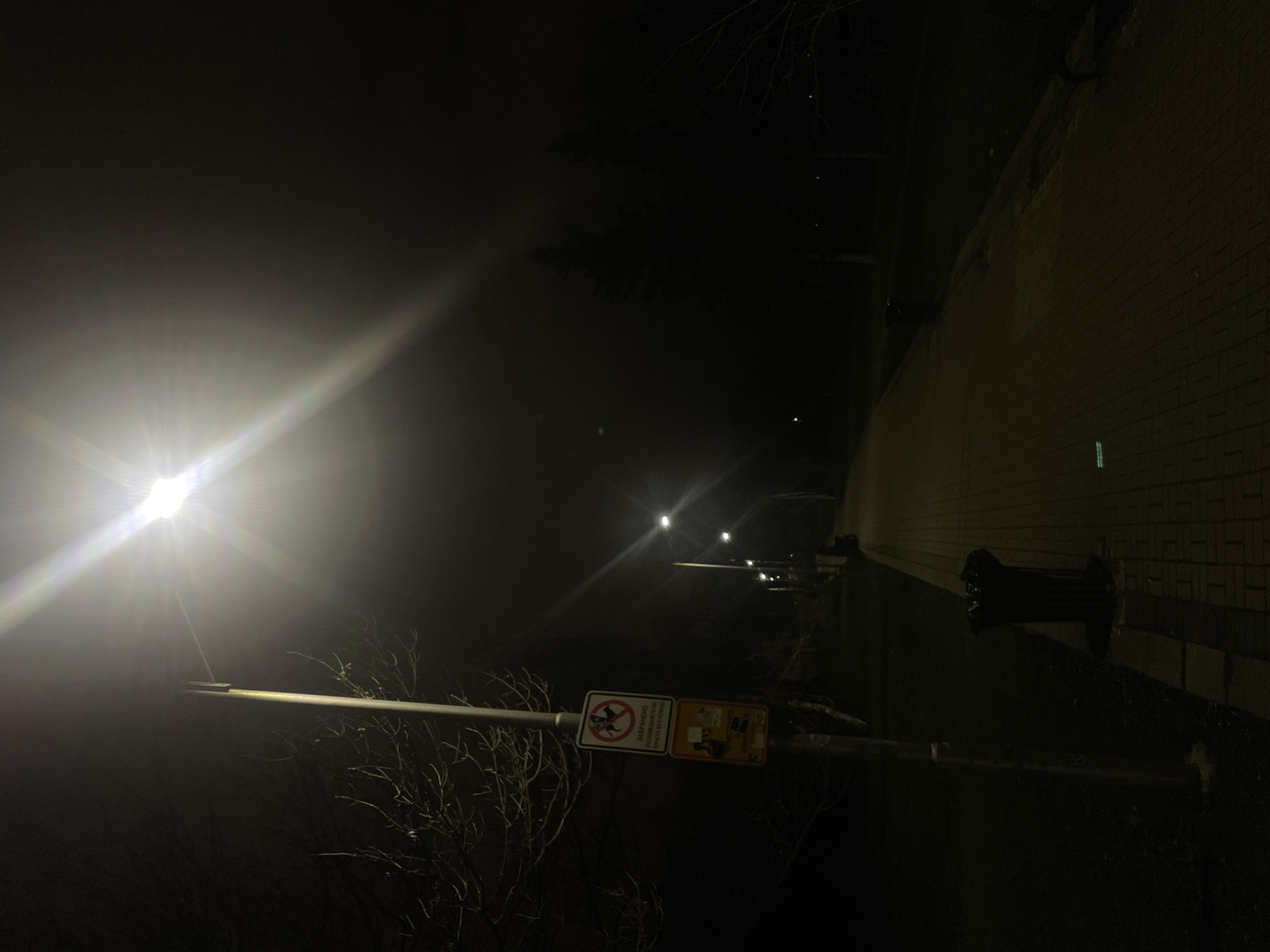 The image shows a night scene in Sofia, Bulgaria. A street lamp emits a bright glow, obscuring details in the background, which includes what appear to be additional street lamps further down the street. To the right is a dark brick wall alongside the road. A pole with street signs is visible in the foreground. One sign has a red circle with a diagonal line over a dog silhouette, indicating a prohibition. The general environment suggests a park or residential area in a foggy atmosphere.