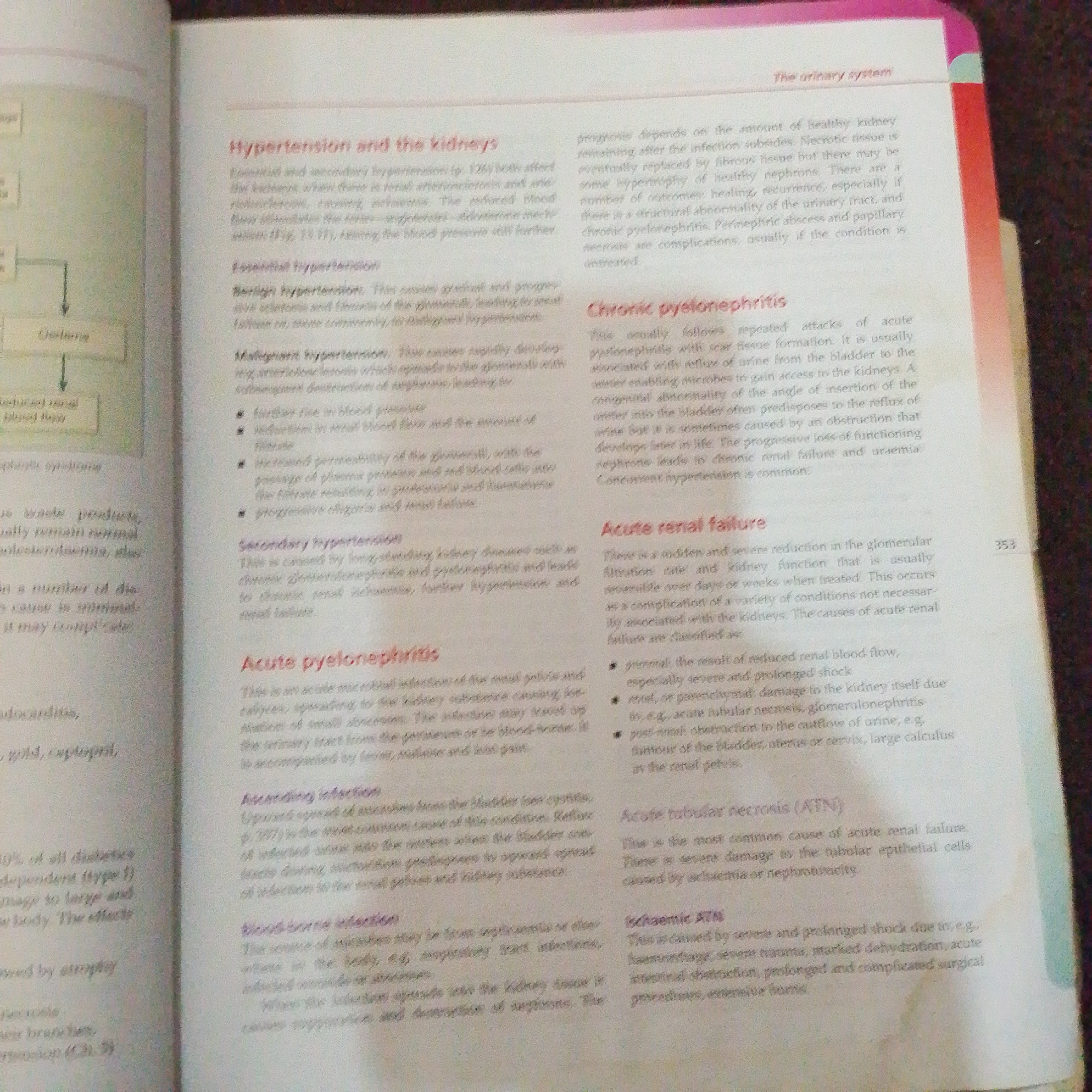 The image is a photograph of an open book, showing text about medical conditions related to hypertension and kidney diseases. The text discusses topics such as "Hypertension and the kidneys," "Chronic pyelonephritis," and "Acute renal failure." There are no people, objects, or environmental details visible that would indicate a specific location in Jalingo, Nigeria, or any other city. The content is purely textual and educational.