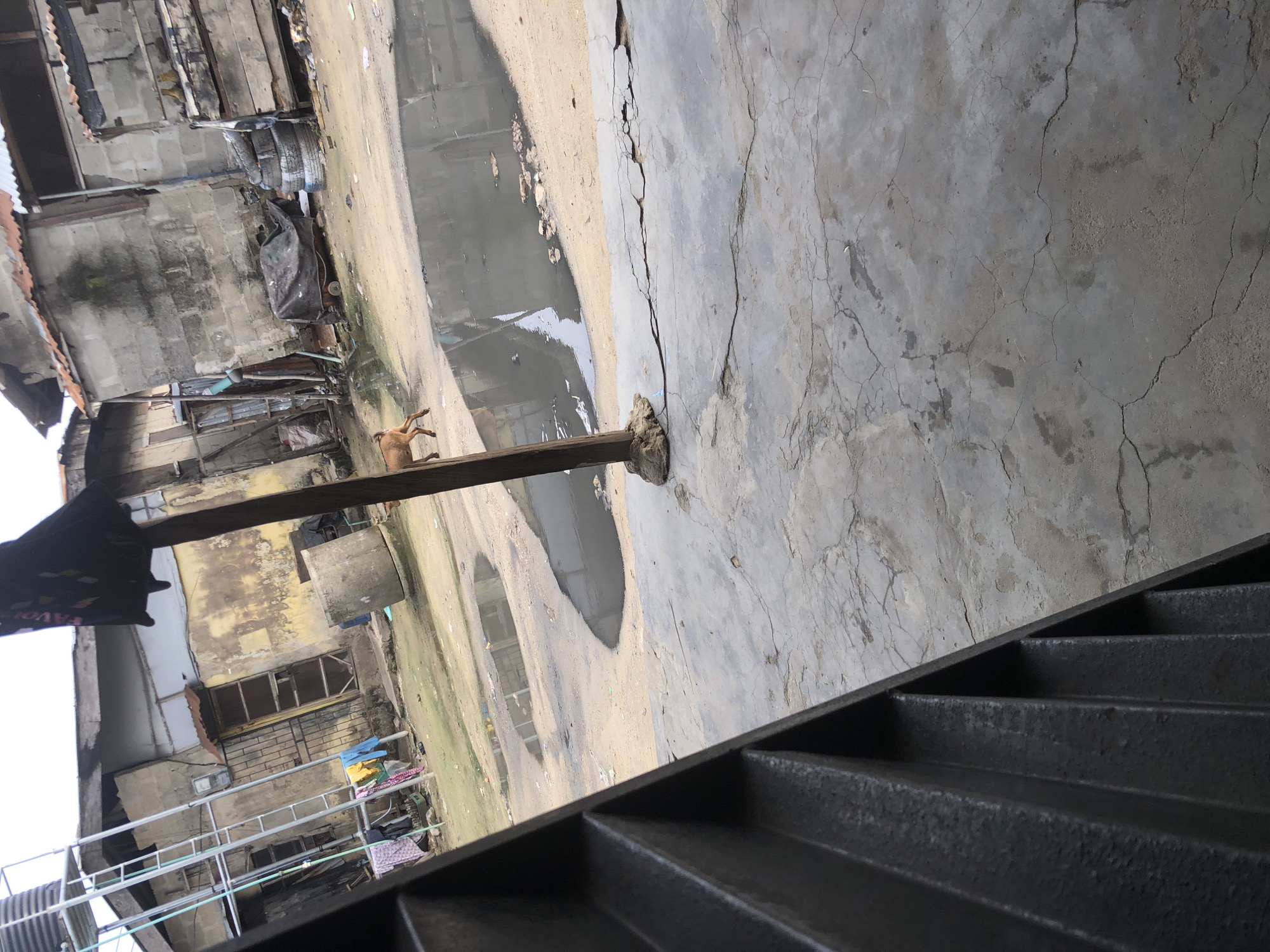 The image presents an elevated view of an outdoor area in Ado, Nigeria, possibly a residential alleyway or courtyard. The perspective is tilted, with a set of dark, textured stairs in the foreground on the lower right, suggesting the photograph was taken from an upper floor or platform.
The ground below is composed of cracked grey concrete and lighter dirt, featuring two significant, murky puddles of water. A wooden post or beam extends diagonally across the midground, seemingly anchored by a small concrete or earth mound. To the left of this beam, a light brown dog with short fur stands near one of the puddles.
In the background on the left, a collection of dilapidated structures, likely houses or shacks, are visible. These buildings are constructed from concrete blocks, corrugated metal sheets, and wood, displaying signs of wear and disrepair. Notable details include broken windows, exposed pipes, stained walls, and stacked old tires. Clothes or fabric, including a dark garment, are seen hanging. Further back, a tall, narrow concrete well or tank stands. The right side of the background primarily shows more cracked concrete ground, with faint reflections of distant structures in the puddles.
The scene captures a static moment of daily life, with no people visible or specific events occurring beyond the dog's presence. The puddles suggest recent rainfall or persistent standing water. The natural lighting indicates it is daytime. The architecture and environmental conditions are consistent with an urban or semi-urban setting in Nigeria. No legible text is present in the image.
