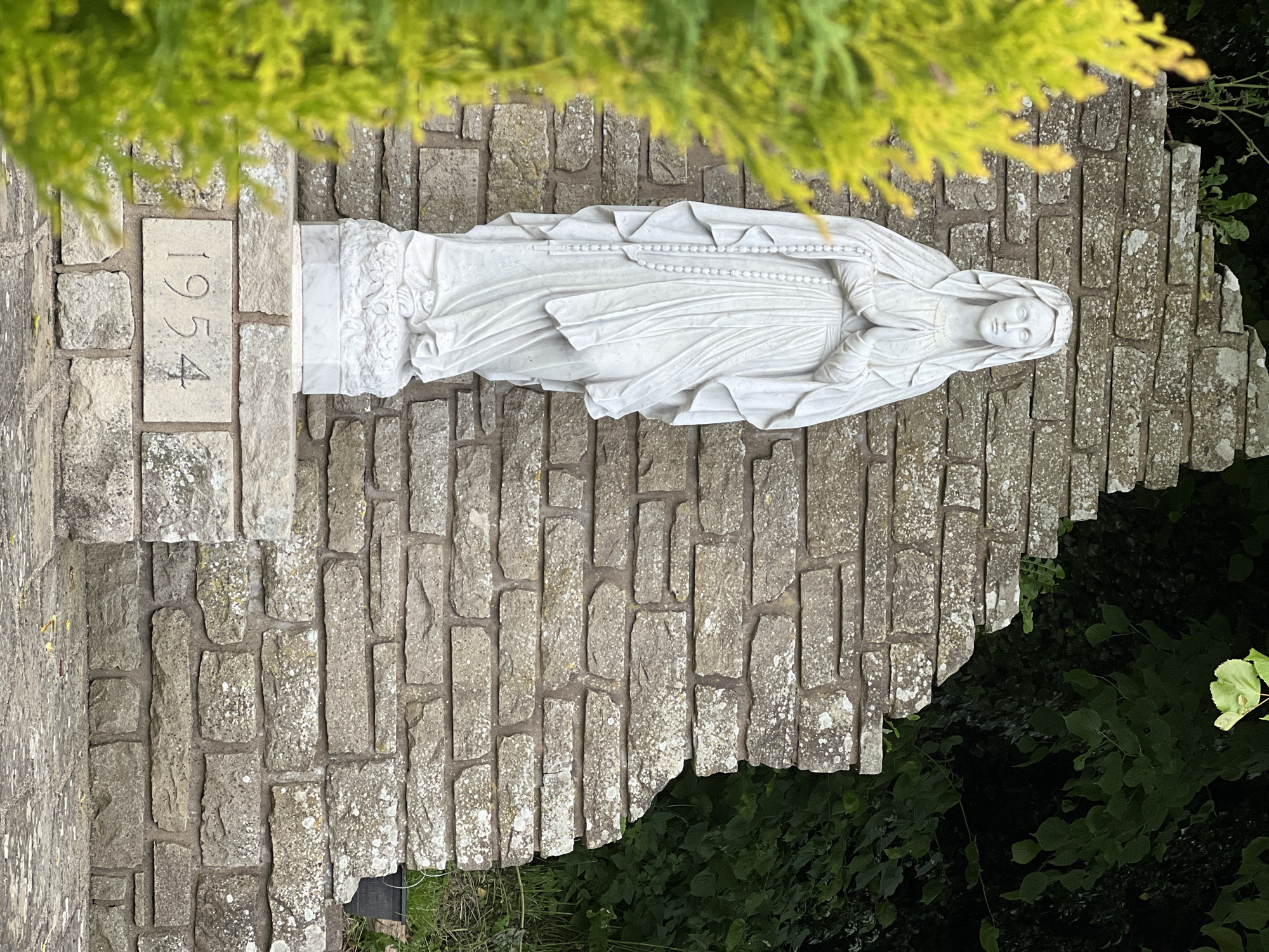 This media file displays a vertical orientation. The main subject is a white marble statue of the Virgin Mary, adorned with a rosary. The statue is positioned against a stone wall constructed from irregular grey stones. To the left of the statue, a light-colored stone slab with the inscription "1954" is visible, indicating a potential date of construction or dedication. The scene is partially obscured by lush green foliage at the top and bottom, suggesting an outdoor setting, possibly a garden or memorial. The lighting appears natural, hinting at daytime, and the overall atmosphere is serene and contemplative. The location context is Mountcharles, Ireland.