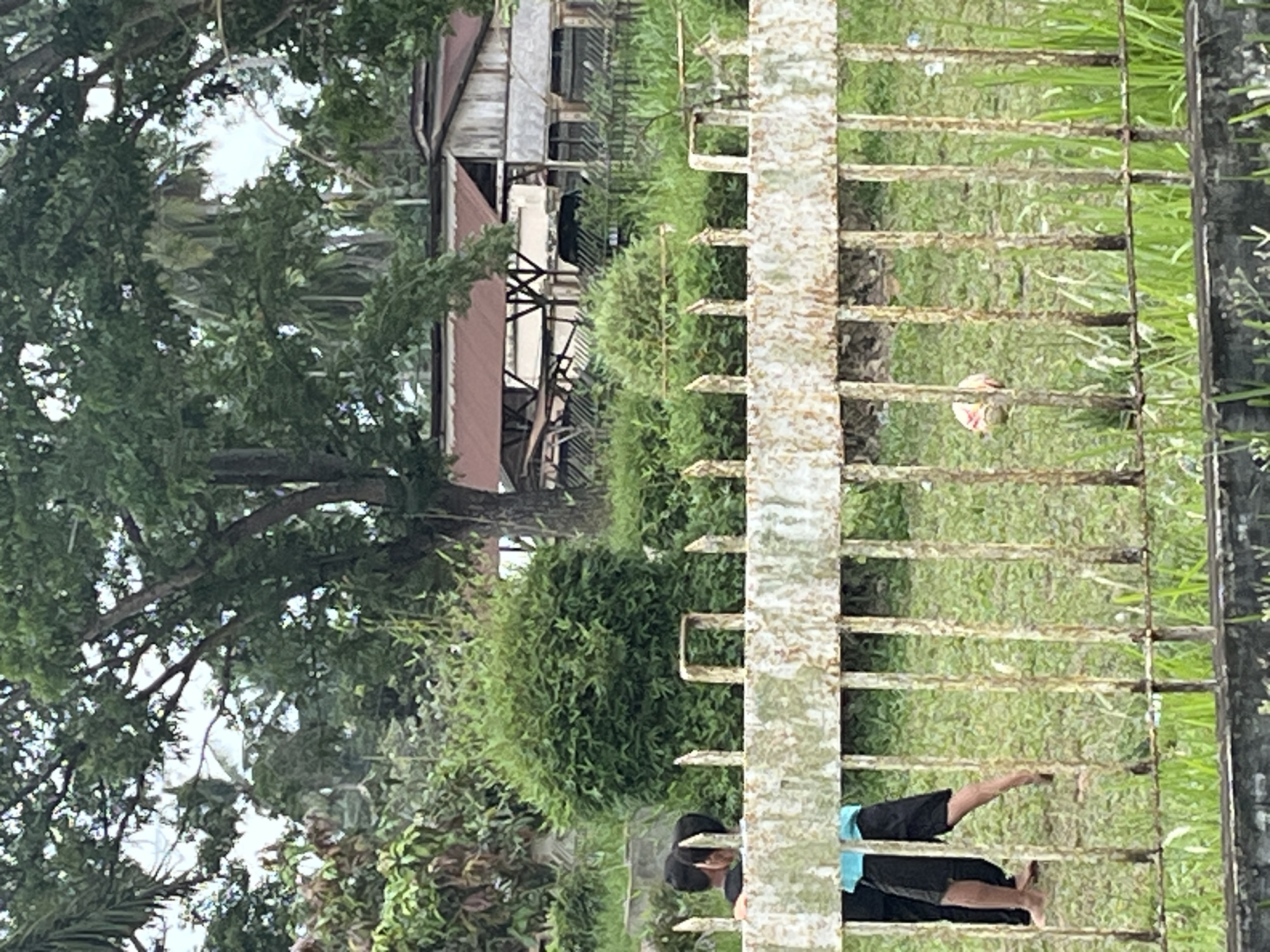 The image depicts an outdoor scene in Rantau Pauh, Indonesia, dominated by lush greenery and a weathered metal fence in the foreground. Behind the fence, two young individuals, possibly children or teenagers, are partially visible. One is wearing a blue shirt and black shorts, and the other, mostly obscured, appears to be wearing black clothing. They are standing on a grassy area. A soccer ball, partially visible and appearing to be red and white, rests on the grass in the middle ground. In the background, several buildings with rust-colored roofs are situated amongst dense foliage and trees, suggesting a semi-rural or residential setting within the city. The overall impression is one of a casual, everyday moment captured in a tropical environment.