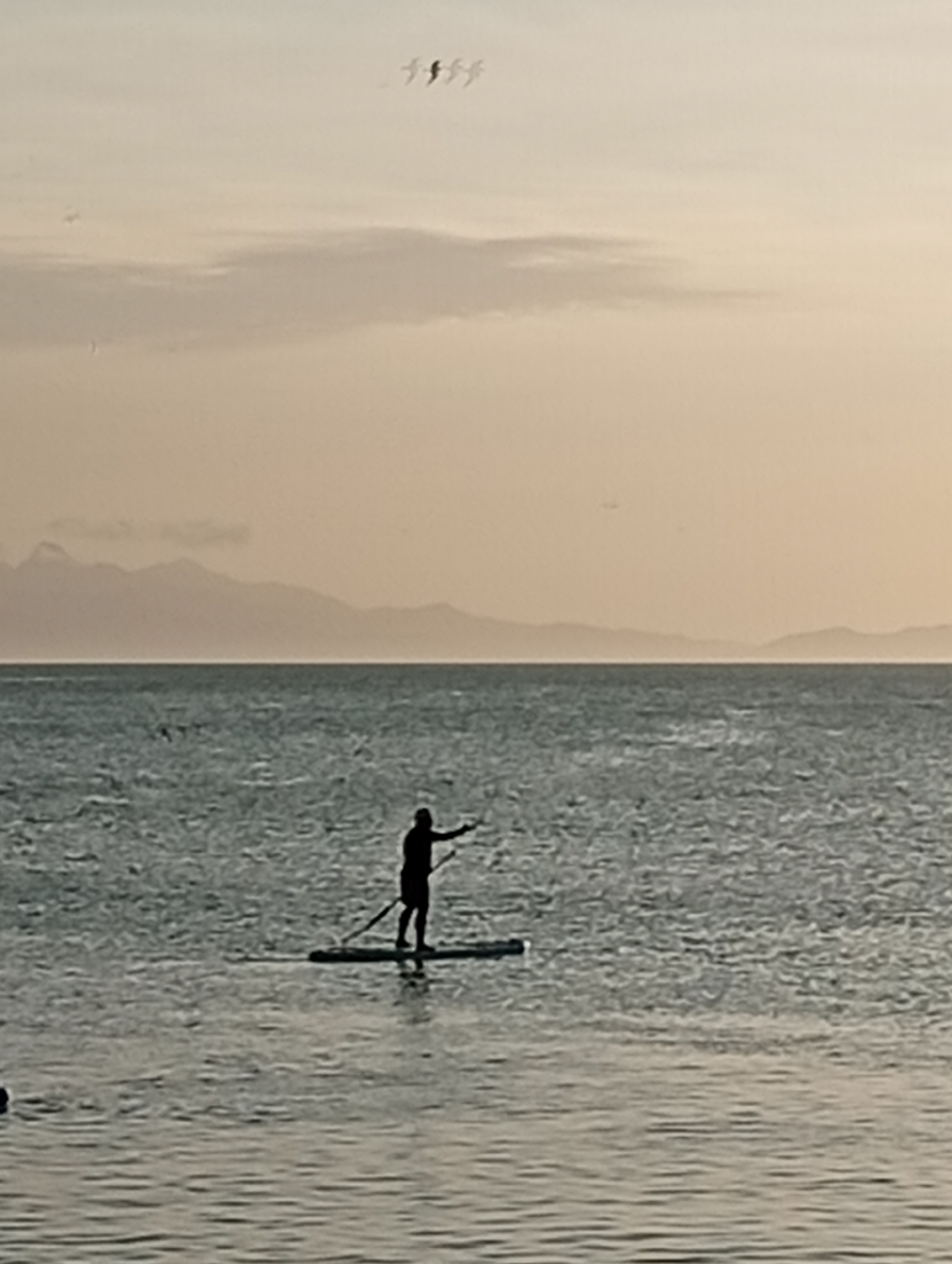 The image shows a silhouetted figure paddleboarding on the water. The sky is pale, suggesting either sunrise or sunset, with a few birds flying above and clouds in the distance. There is a land mass or mountains visible on the horizon. The exact location in Juan Griego, Venezuela cannot be determined without further evidence.