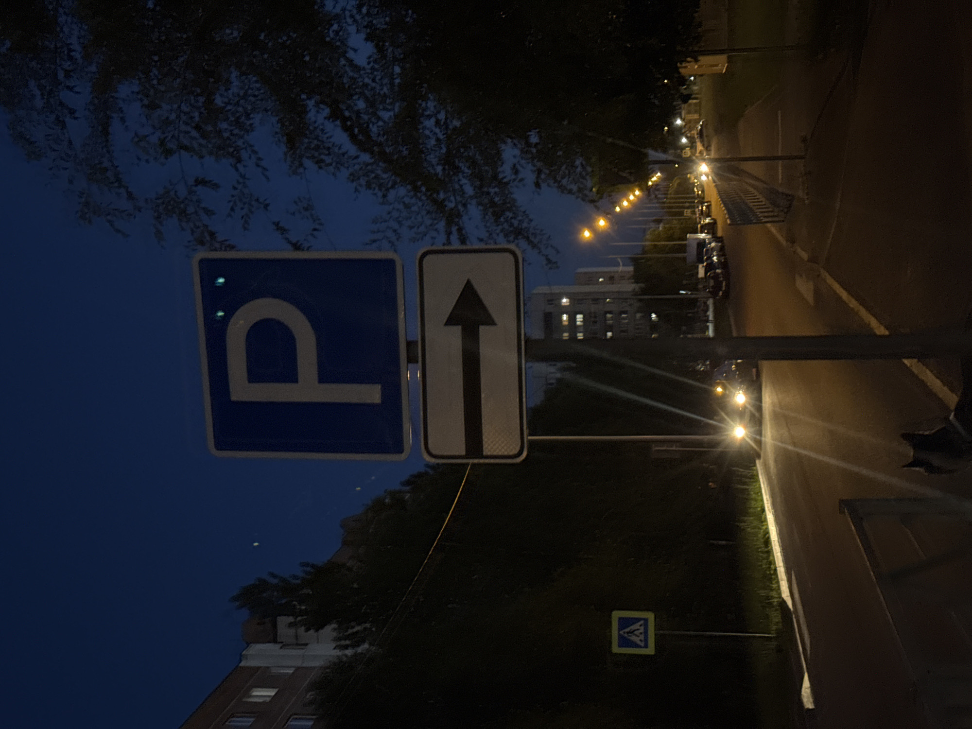 This image captures a nighttime street scene in the city of Unknown, Unknown. The sky is a deep, dark blue, indicative of either late evening or early morning hours.
In the immediate foreground, a dark-furred dog, possibly a husky, is partially visible in the bottom-center, with its head and upper back facing towards the right side of the frame. A low metal barrier or fence runs horizontally across the lower left.
Dominating the center of the image is a pole displaying two regulatory traffic signs. The upper sign is a blue square with a white capital 'P', indicating parking. Below it is a white rectangular sign with a thick black arrow pointing to the right, specifying the direction for parking.
To the left of the pole, a yellow and blue square sign depicting a white pedestrian symbol within a blue triangle (a pedestrian crossing sign) is mounted on another pole adjacent to the roadway.
The road, appearing to be asphalt, stretches into the distance, with a white line marking its left edge. Headlights from oncoming vehicles are visible further down the road, creating prominent lens flares. On the right side of the road, a paved sidewalk is present, bordered by a metal safety barrier that runs parallel to the street.
Along the right side of the street, a line of streetlights with amber/yellow illumination extends into the vanishing point, casting light onto parked vehicles and the roadside. Dark, dense foliage from trees and bushes lines both sides of the road, appearing as silhouettes against the dim ambient light and the buildings beyond.
On the left side of the midground, a multi-story building, likely an apartment complex, is partially visible, with several windows emitting light. Other buildings and structures are faintly discernible in the distance through the trees and artificial light sources. The overall scene is lit by artificial streetlights and vehicle headlights, creating strong contrasts between illuminated and shadowed areas.