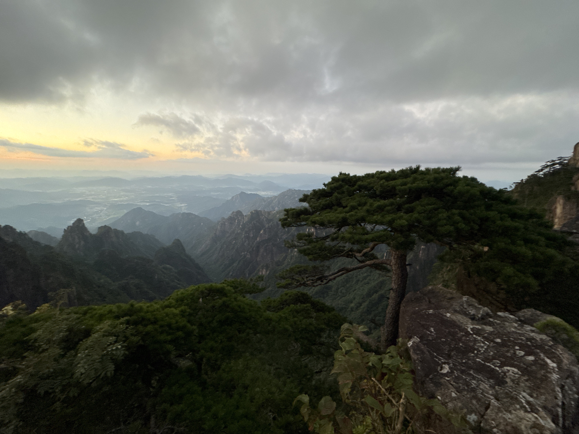 An outdoor, high-angle, horizontal photograph captures a mountainous landscape at sunrise or sunset, likely in Huangshan District, China, a region known for its dramatic peaks. The foreground is dominated by a large, gnarled pine tree with a sprawling, flat canopy, perched on the edge of a rocky precipice. Its trunk is thick and textured, its branches extending horizontally over the vast expanse. Below and stretching into the distance, layers of dark green, densely forested mountains descend into misty valleys. The sky above is a dramatic canvas of heavy, grey clouds, with a subtle band of pale yellow and pink hues appearing on the horizon to the left, suggesting the nascent stages of dawn or the lingering glow of dusk. The overall atmosphere is serene and majestic, highlighting the rugged beauty of the natural environment.