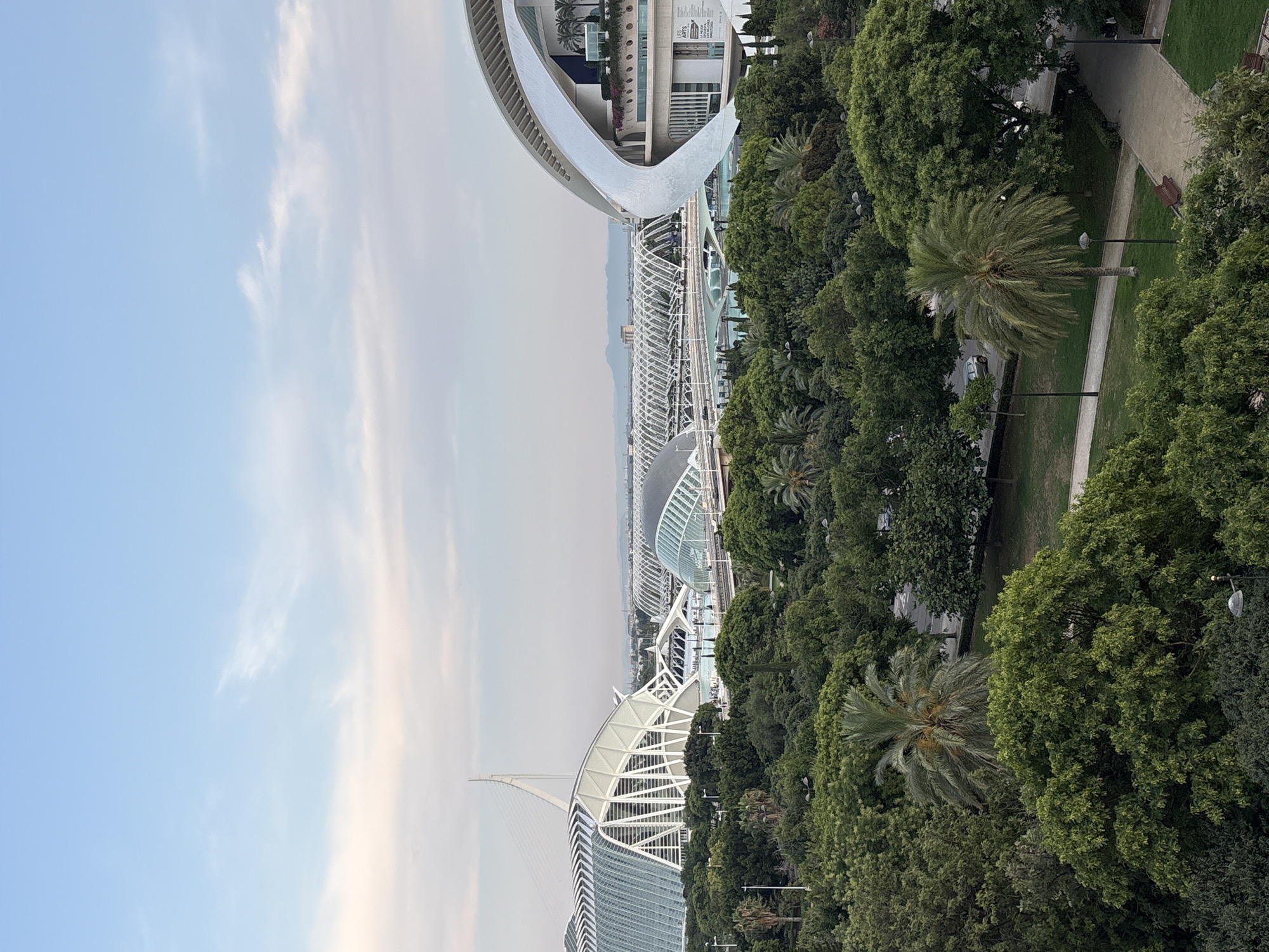 This is a wide-angle, elevated, outdoor, daytime photograph of the City of Arts and Sciences complex in Valencia, Spain. The sky is light blue with scattered wispy white clouds. In the foreground, a dense canopy of green trees and palm trees fills the bottom half of the image. A paved walkway with benches and lampposts is visible within the park. In the mid-ground and background, the distinctive futuristic architecture of the complex is prominent. To the left, the Hemisfèric, a building designed to resemble a human eye, is visible with its white lattice structure and reflective glass. To the right, the Palau de les Arts Reina Sofía, a performing arts center with a curved white roof, is partially obscured by trees. A pedestrian bridge with a white arched structure spans over a turquoise body of water between buildings. Distant hills are visible on the horizon. There are no people clearly discernible in the image. The scene is tranquil and appears to be a clear day.