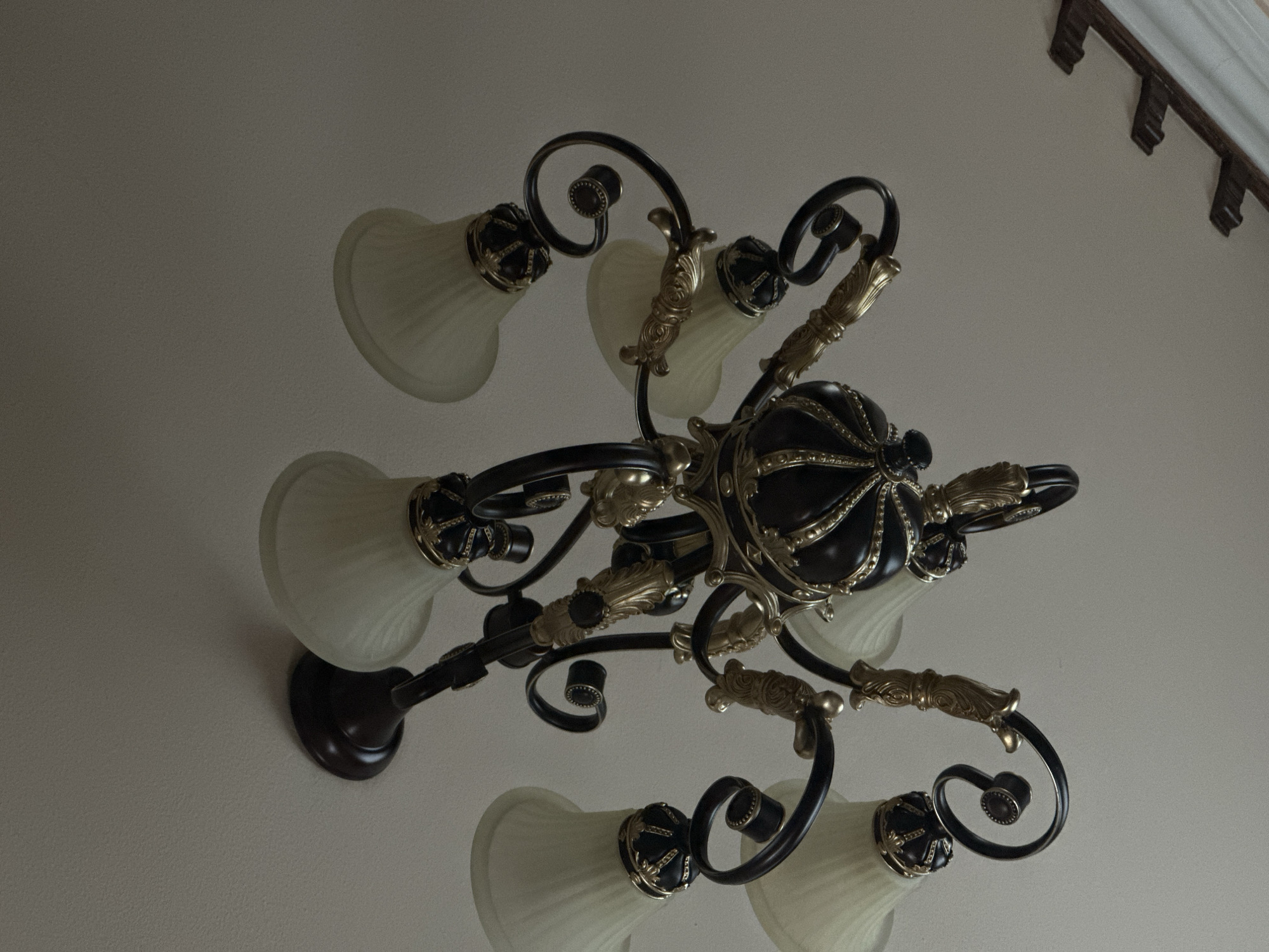 An ornate chandelier dominates the view, seen from a low-angle perspective looking up towards a light-colored ceiling. The chandelier features a dark brown or black central body, intricately detailed with golden filigree and decorative accents. Several gracefully curved arms extend outwards from the central structure, each also dark-colored with golden flourishes, supporting individual lamp holders. Each lamp holder is adorned with dark and golden crown-like embellishments, securing a frosted or ribbed glass shade that is light cream or off-white in color. The shades are unlit, and the overall lighting in the image is somewhat dim. The background is a plain, pale ceiling, with a dark, decorative wooden trim or molding visible along the top right edge of the ceiling, suggesting an indoor setting. No activity is taking place, and there is no visible text.