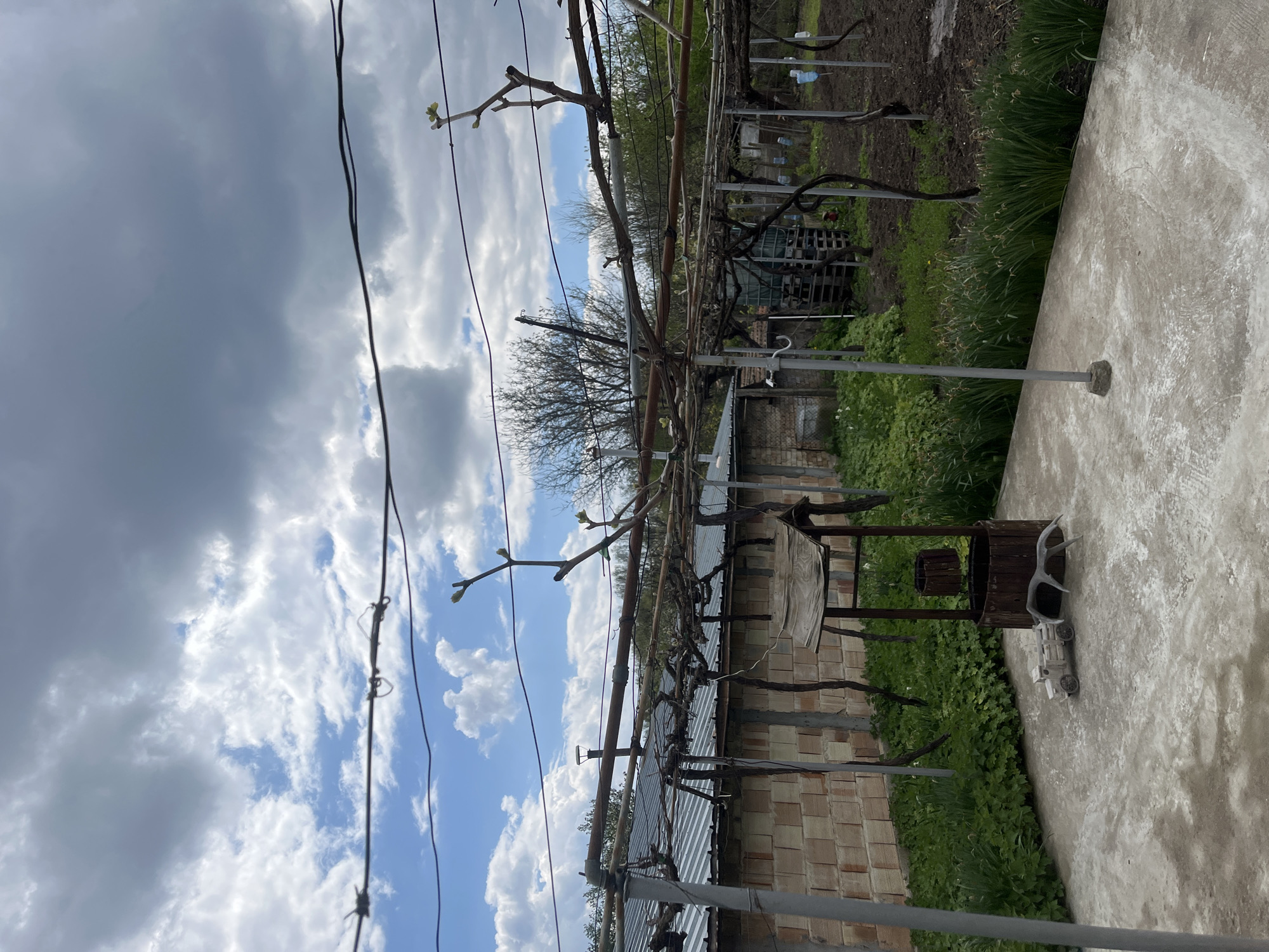 The image shows an outdoor scene in Unknown, Unknown. A grapevine trellis spans the foreground, with bare branches starting to sprout new leaves. Electrical wires run parallel to the trellis. Beyond the trellis is a small brick building with a metal roof. In the background, there's a garden area with various plants and structures. A concrete patio is visible to the right of the building, with an object resembling a decorative well or planter and a set of toy-like vehicle parts on the patio. The sky is partly cloudy with patches of blue.