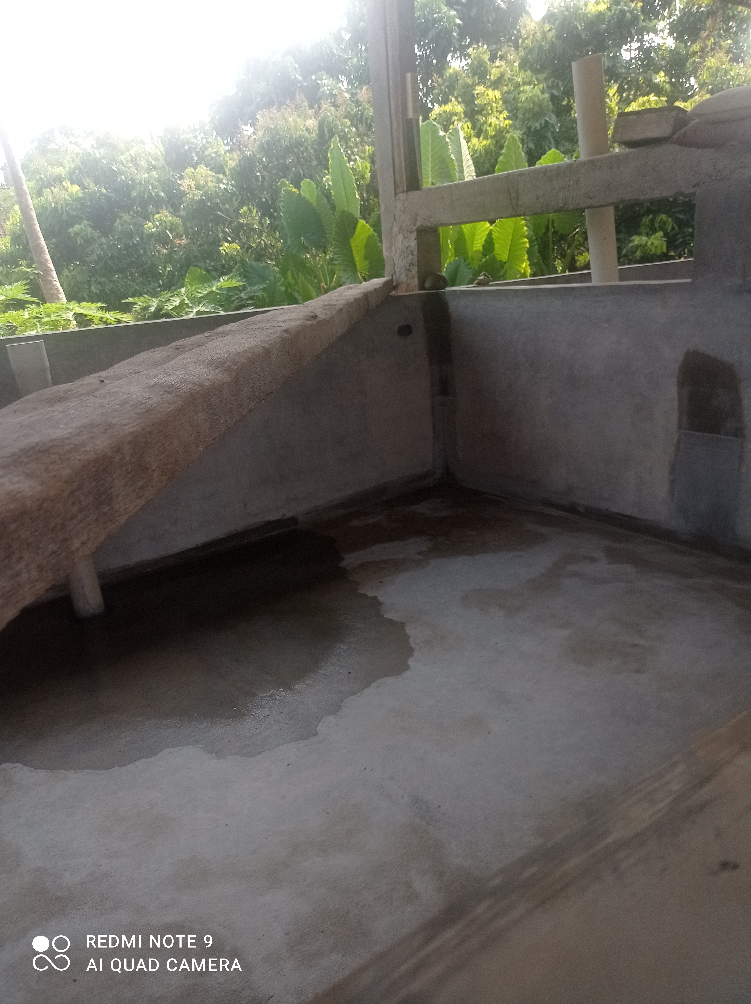 The image depicts the interior of a concrete structure, possibly under construction or a storage area, with visible signs of moisture on the floor. In the foreground, a rough, wooden plank is positioned diagonally, supported by a thin, cylindrical pillar. The walls are made of unfinished concrete, and there are puddles of water on the floor, suggesting a leak or recent cleaning. The background reveals lush green foliage and trees, indicative of an outdoor environment. A portion of a white pipe is visible towards the upper right of the image. The lower left corner contains text overlay from a mobile device, reading "REDMI NOTE 9 AI QUAD CAMERA". The location is identified as Cipawon, Indonesia, suggesting this scene is situated within that Indonesian city. There are no people visible in the frame.