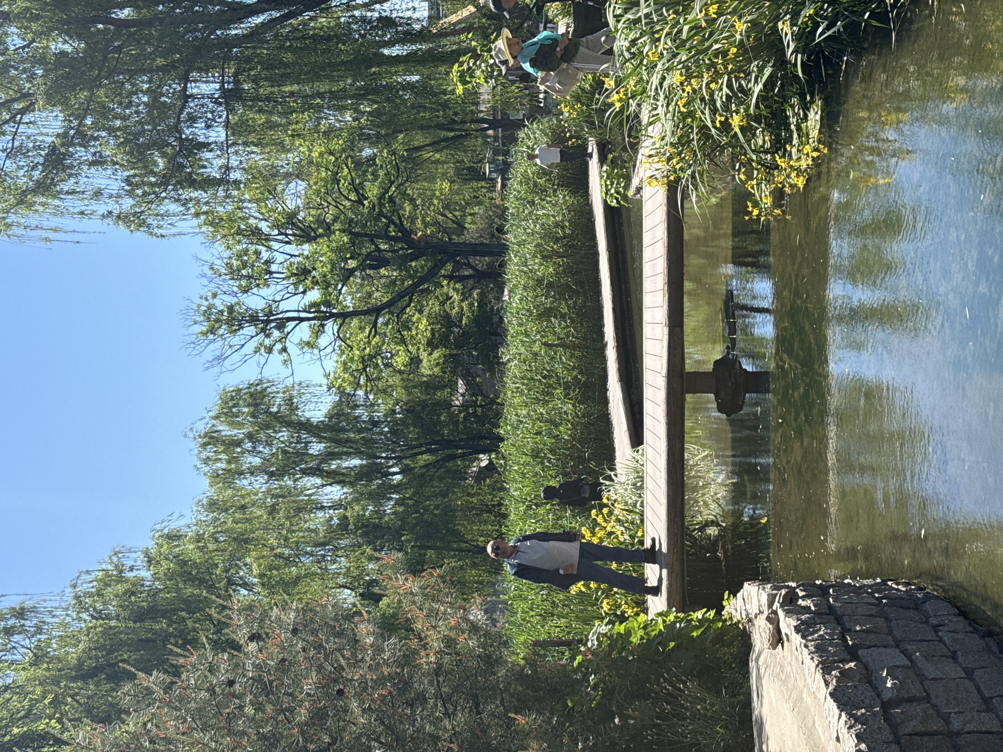 A man stands on a wooden bridge in a park. The park features a pond with reflective water. The man is wearing a light-colored shirt, dark jacket, and jeans. He is facing the water. Trees, plants, and flowers surround the pond and bridge. Additional people can be seen in the background. It is daytime, with a clear blue sky visible through the trees. The location is likely near Dongcheng District, China, suggested by elements of the environment in the picture.