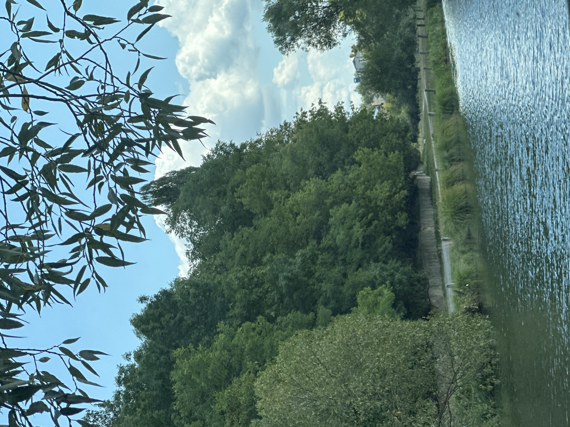 A wide shot of a riverbank in Makiv, Ukraine, under a partly cloudy blue sky. Lush green trees line the opposite bank, with a path running alongside the water. A few buildings are visible in the distance. The river is calm with gentle ripples reflecting the light. Overhanging branches with leaves frame the top of the image.