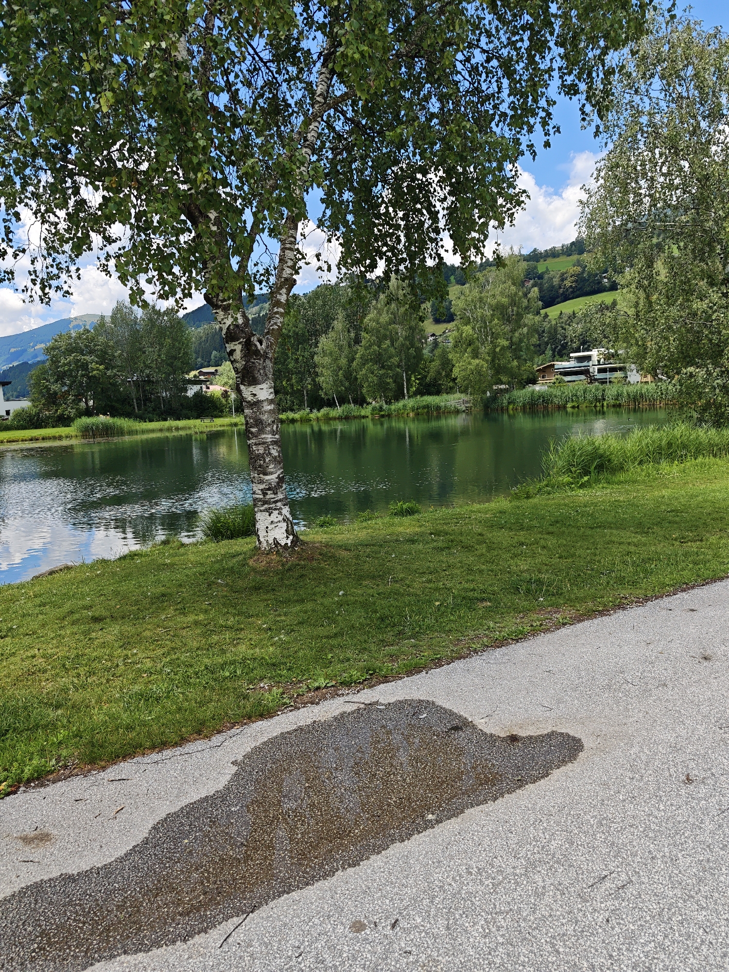 A clear day with scattered clouds is depicted, showing a scenic view of a tranquil lake bordered by lush green grass and trees. In the foreground, a paved pathway is visible, with a large puddle reflecting the surrounding environment. A solitary birch tree stands on the left side of the image, its white bark contrasting with the green foliage. Beyond the lake, a modern building with large windows and a balcony is nestled among the trees on a gentle slope. The background features rolling green hills and mountains, characteristic of the alpine landscape near Mittersill, Austria. No people or animals are visible in the frame.