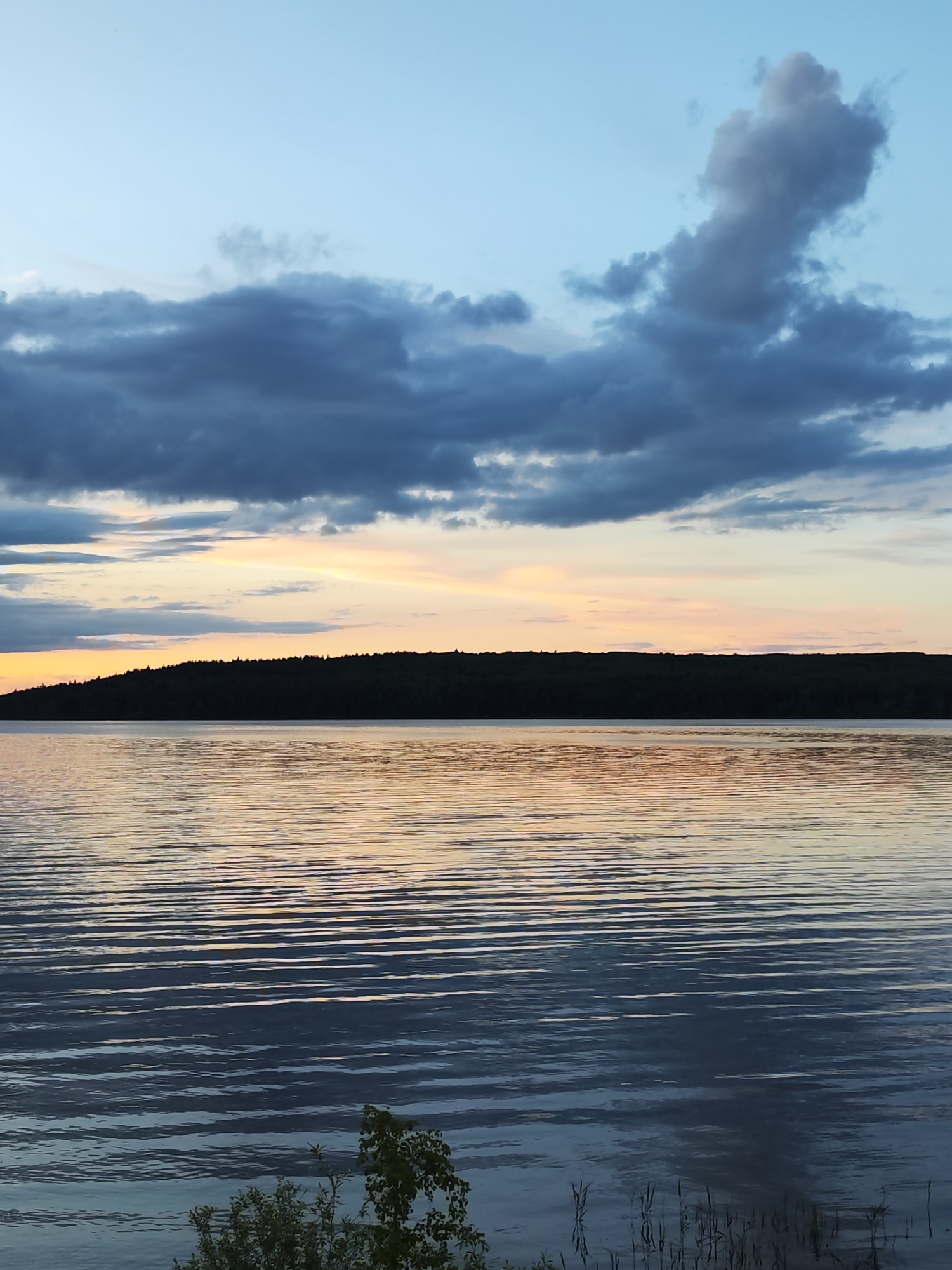 The image captures a tranquil scene at dusk, likely on a large body of water such as a lake or wide river. The sky is a mix of light blue and shades of grey and dark blue clouds, with a hint of orange and yellow near the horizon, indicative of a setting sun. A silhouette of trees and vegetation forms a dark band in the middle ground. The water is rippled, reflecting the colors of the sky and the landscape above.
The bottom of the image shows some foliage in the foreground, including a small bush and some reeds or grass stalks, partially submerged in the water.
While the image has landscape elements, it lacks any specific, readily identifiable landmark that would allow for absolute confirmation of the location being Chaikovsky, Russia. The scene shows a natural setting of water, sky, and forest, which would not necessarily be unique to that city. If this photo was taken in Chaikovsky, it is most likely on the Kama River.