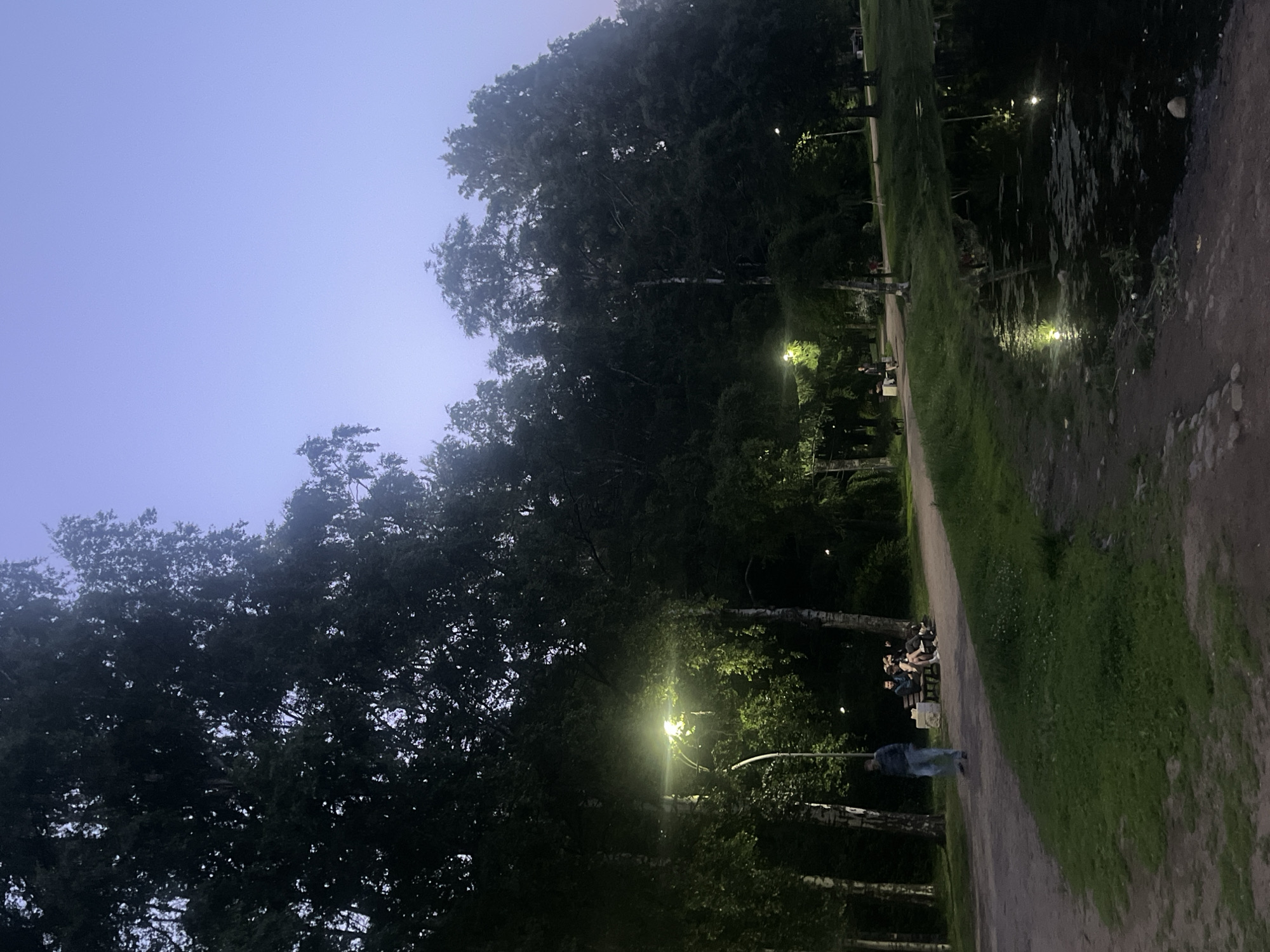 The image depicts an outdoor park scene in Sinyavino, Russia, at dusk or early night. A wide, unpaved path, likely gravel or compacted earth, curves from the foreground towards the background, bordered by dense vegetation and a body of water. The sky, visible above the tree line, transitions from a pale purple-blue at the top to a slightly darker shade near the horizon, indicative of twilight conditions.
On the left side of the path, numerous tall trees, many appearing to be birches with light-colored trunks, are densely packed, their foliage forming a dark silhouette against the sky. A prominent streetlamp with a bright, yellowish-white light illuminates a section of the path and the surrounding foliage on the left. Another similar streetlamp is visible further down the path.
In the mid-ground, on the left side of the path under the illumination of the first streetlamp, a lone individual, appearing male and dressed in light blue pants and a darker jacket, walks away from the viewer. Further along the path, a group of three to four people are seated on a park bench, their forms indistinct but clearly congregated.
To the right of the path, a dark body of water, possibly a pond or canal, reflects the yellowish-white light from the streetlamps. The water's surface appears somewhat still but features areas of darker material, possibly algae or debris. The edge of the path near the water shows some rough ground and possibly scattered stones. More trees line the far bank of the water body, their dark forms contrasting with the ambient light. The overall environment is a park-like setting, quiet and sparsely populated.