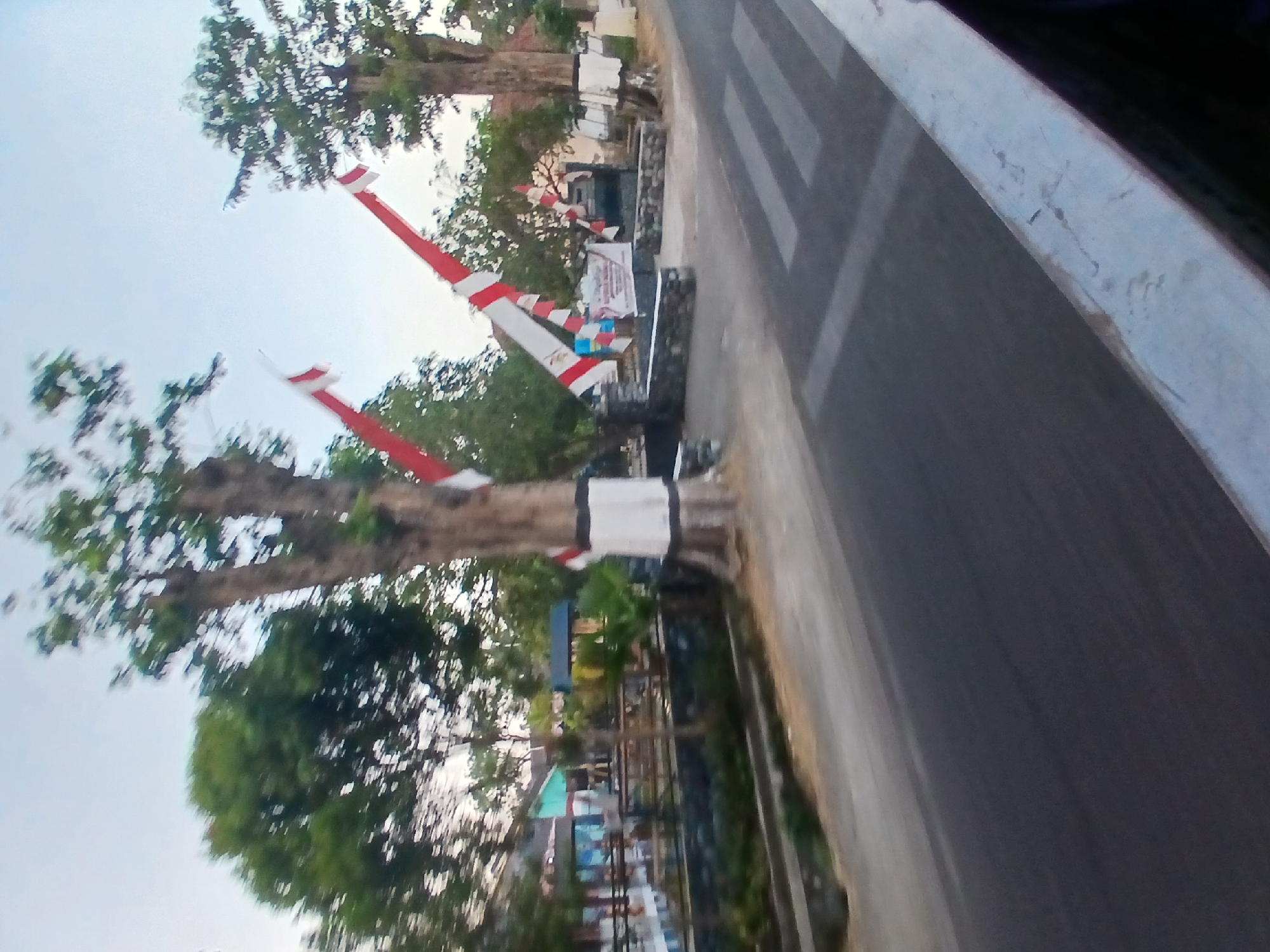The image depicts a street scene in Wonosari, Indonesia. In the foreground, a dark asphalt road occupies the lower half of the frame, with a white pedestrian crossing marked on its surface. To the right, a light-colored concrete barrier runs diagonally across the bottom edge of the image.
The middle ground features a paved area with a stone wall bordering a grassy area. Several trees are visible, the most prominent being a large, thick-trunked tree on the right, its lower trunk wrapped in white and black fabric. Red and white flags, likely Indonesian flags, are prominently displayed, attached to poles and angled upwards. Behind these flags, a sign with Indonesian text is mounted. Further back, buildings with colorful facades, possibly shops or houses, are seen.
The background is dominated by lush green trees and a bright sky. The overall impression is that of a roadside view in a semi-urban or rural setting, possibly adorned for a local event or national celebration given the flags. The image is slightly blurred, suggesting it might have been taken from a moving vehicle.