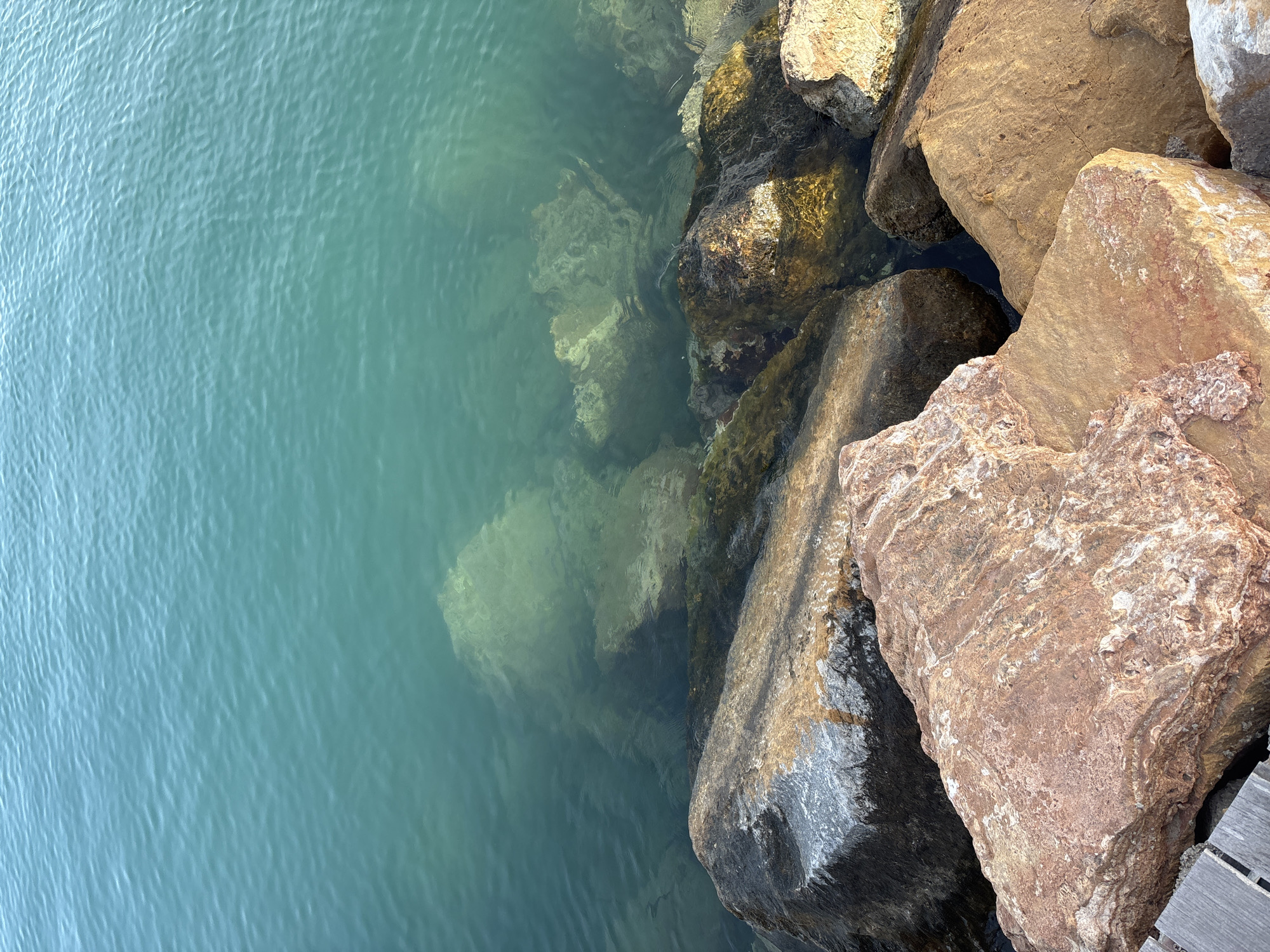 In Urbanización Cabo Roig, Spain, a close-up, high-angle shot captures a section of the Mediterranean Sea adjacent to a rocky shoreline. The water is a clear, turquoise hue, with ripples suggesting a gentle movement. The seabed is visible beneath the surface, populated by submerged rocks and seaweed. In the foreground, several large, rough-textured rocks are arranged along the water's edge. These rocks vary in color, with some appearing dark gray, others reddish-brown, and some with lighter, almost white, mineral deposits. A sliver of weathered wooden planks is visible at the bottom left, suggesting a man-made structure like a jetty or walkway bordering the natural elements. The lighting indicates it is daytime, with sunlight casting shadows and highlighting the textures of the rocks and the subtle patterns on the water's surface.