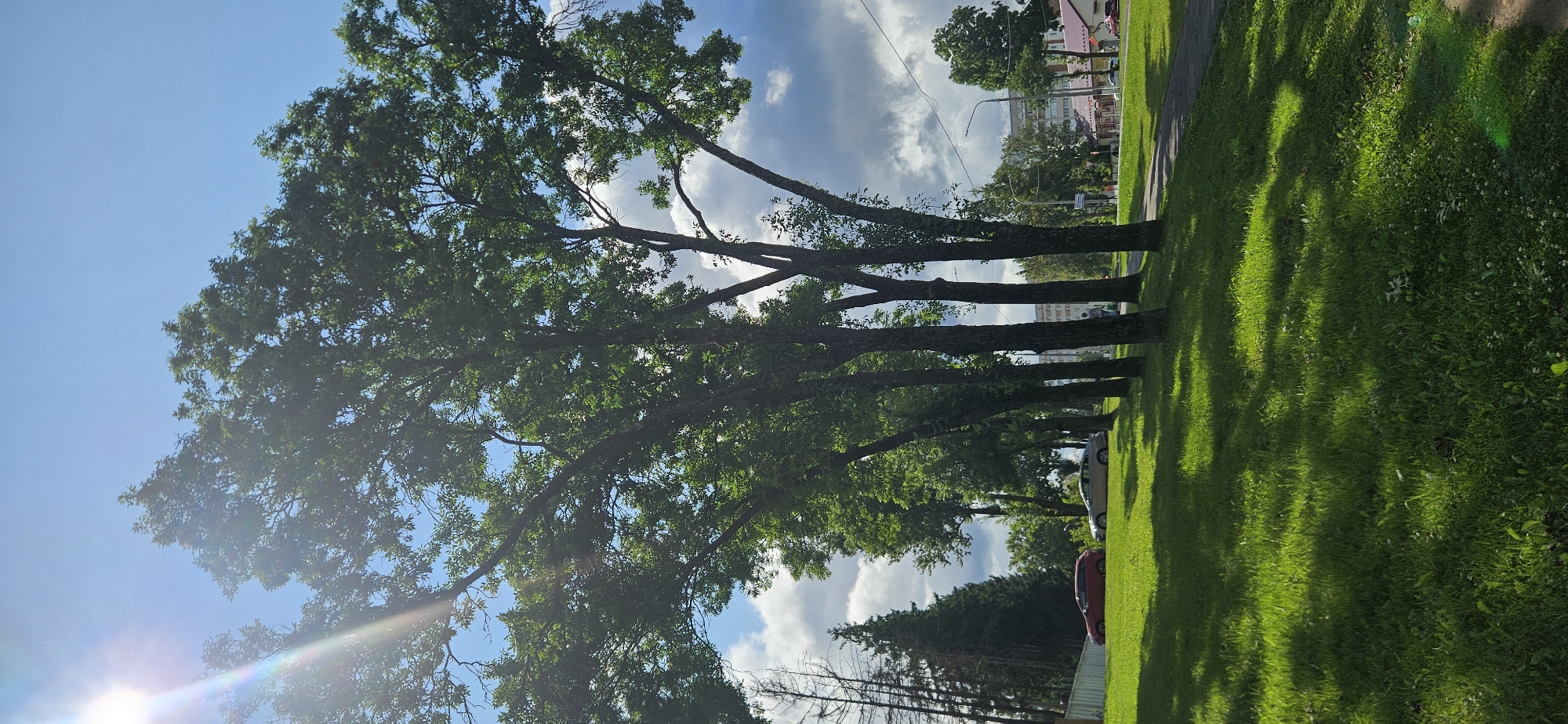 The image depicts a sunny day with scattered clouds in Vitsebsk, Belarus. In the foreground, a well-maintained green lawn is illuminated by sunlight, casting dappled shadows from the trees. A paved pathway runs along the right side of the lawn, leading into the background. A line of trees with full green canopies dominates the midground, creating a natural barrier. To the left of the trees, a red car and a silver car are parked on a grassy area. Beyond the trees, a street is visible with buildings and more trees lining its edge. The sky is a clear blue with some white, fluffy clouds, and the sun is visible in the upper left corner, creating a lens flare effect. In the far background, residential buildings are present. One person is walking on the sidewalk in the distance. The overall scene suggests a peaceful urban park or residential area.